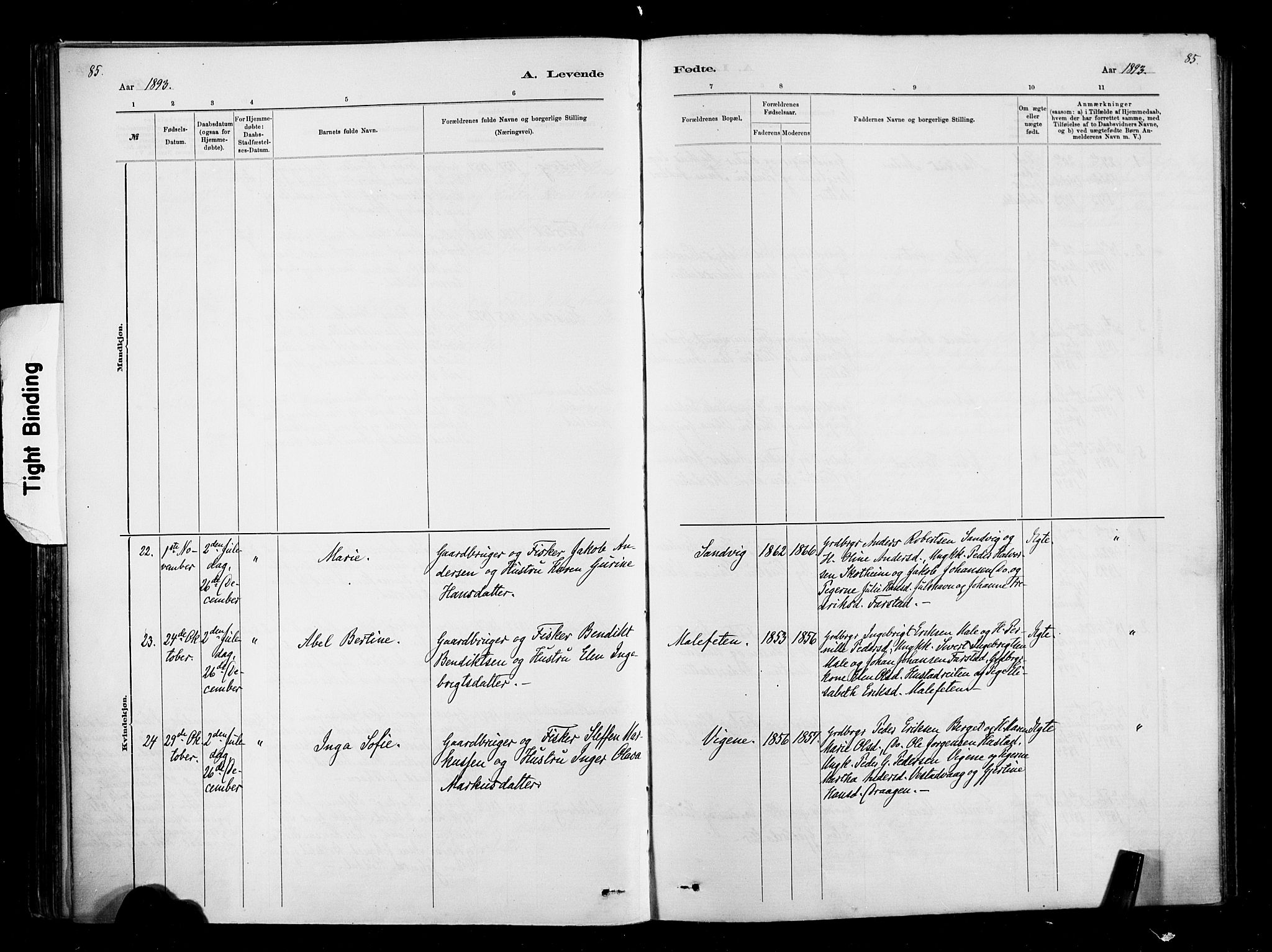 Ministerialprotokoller, klokkerbøker og fødselsregistre - Møre og Romsdal, AV/SAT-A-1454/567/L0778: Ministerialbok nr. 567A01, 1881-1903, s. 85