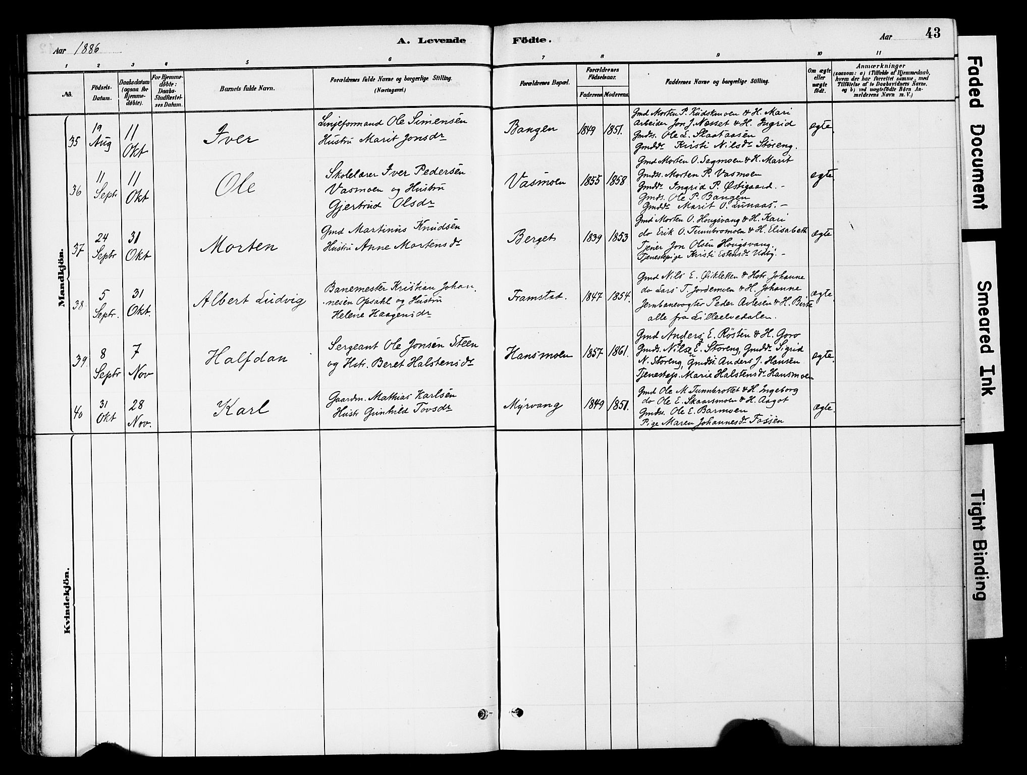 Tynset prestekontor, AV/SAH-PREST-058/H/Ha/Haa/L0022: Ministerialbok nr. 22, 1880-1899, s. 43