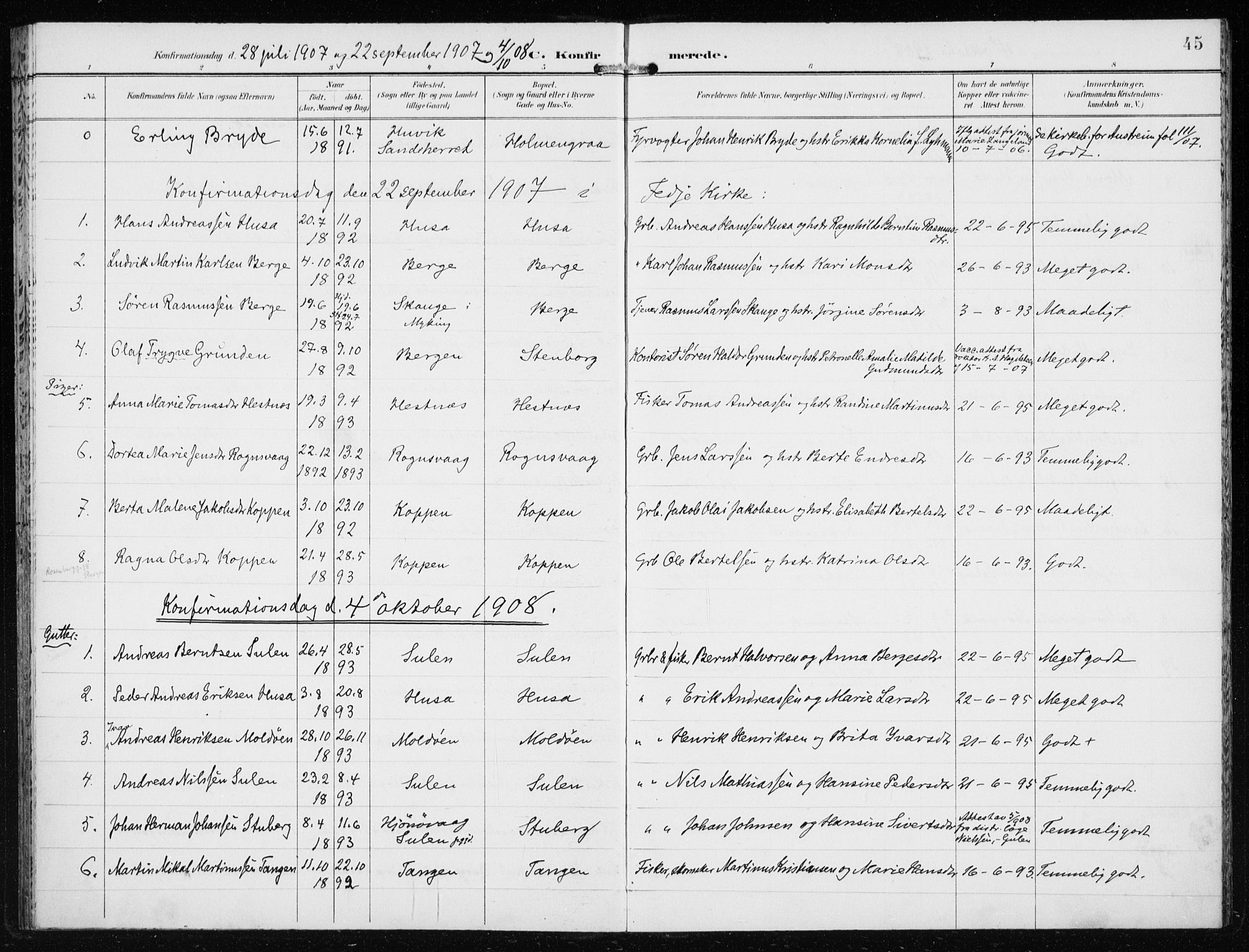 Lindås Sokneprestembete, AV/SAB-A-76701/H/Haa/Haad/L0002: Ministerialbok nr. D  2, 1897-1912, s. 45