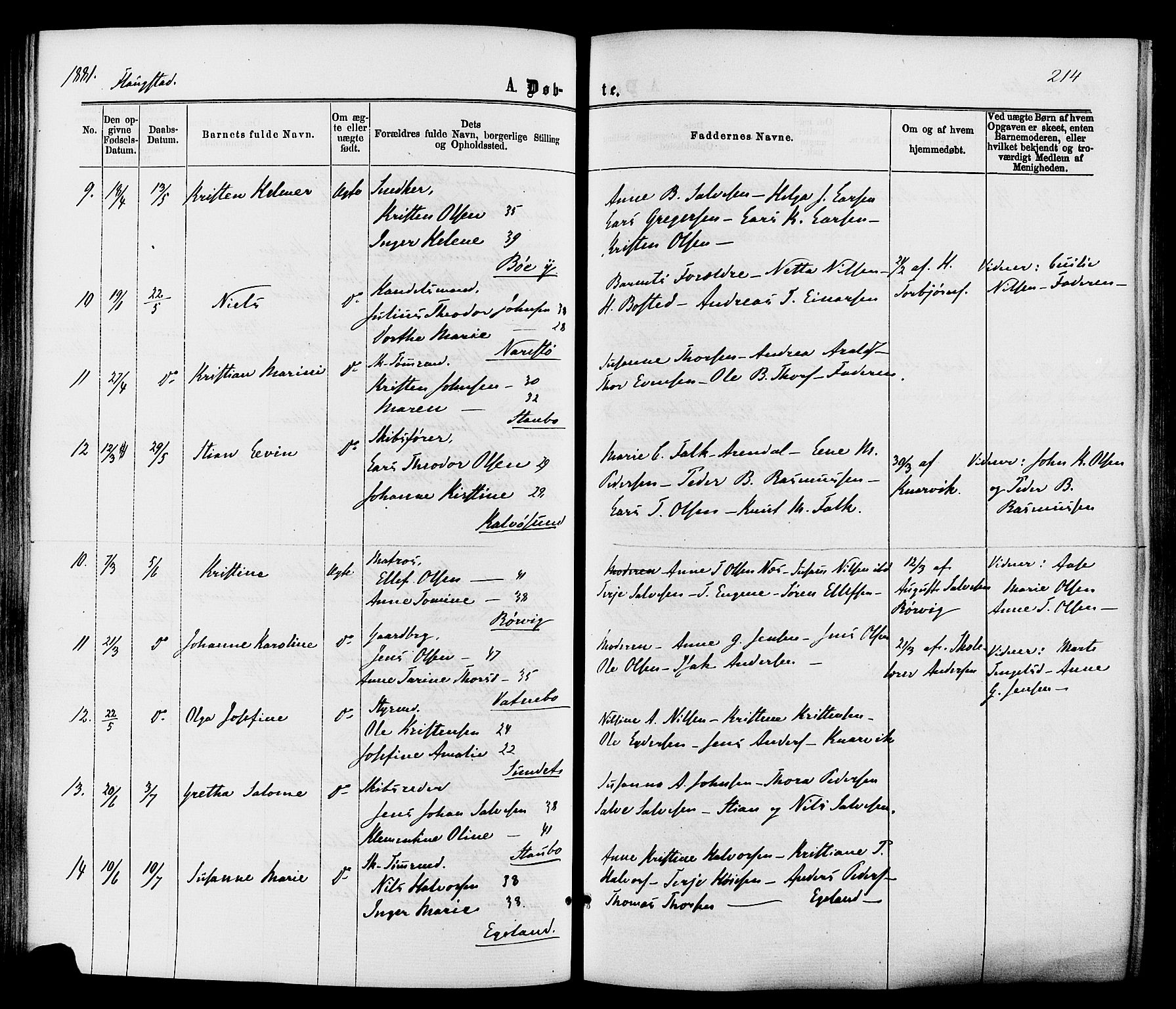 Dypvåg sokneprestkontor, AV/SAK-1111-0007/F/Fa/Faa/L0007: Ministerialbok nr. A 7 /2, 1877-1884, s. 214