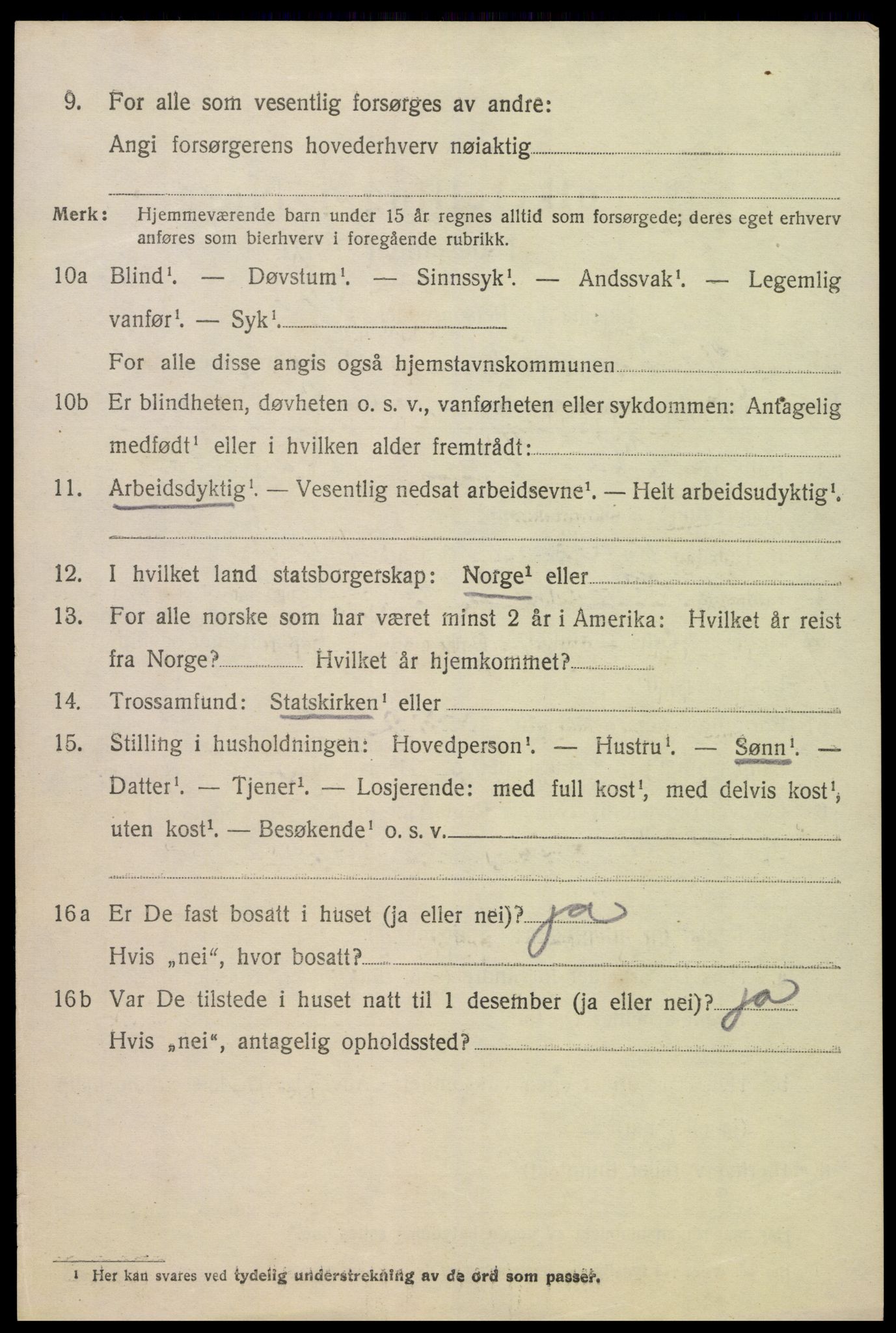 SAK, Folketelling 1920 for 0936 Hornnes herred, 1920, s. 3082