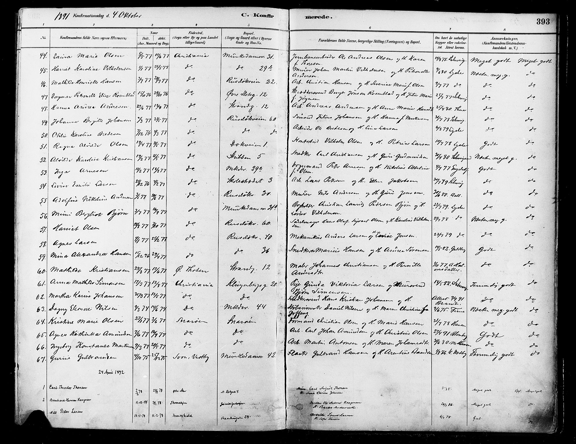 Johannes prestekontor Kirkebøker, AV/SAO-A-10852/F/Fa/L0003: Ministerialbok nr. 3, 1882-1896, s. 393