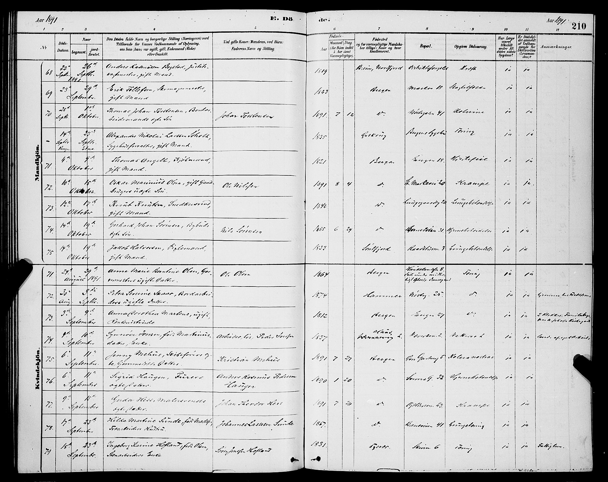 Domkirken sokneprestembete, AV/SAB-A-74801/H/Hab/L0041: Klokkerbok nr. E 5, 1878-1900, s. 210