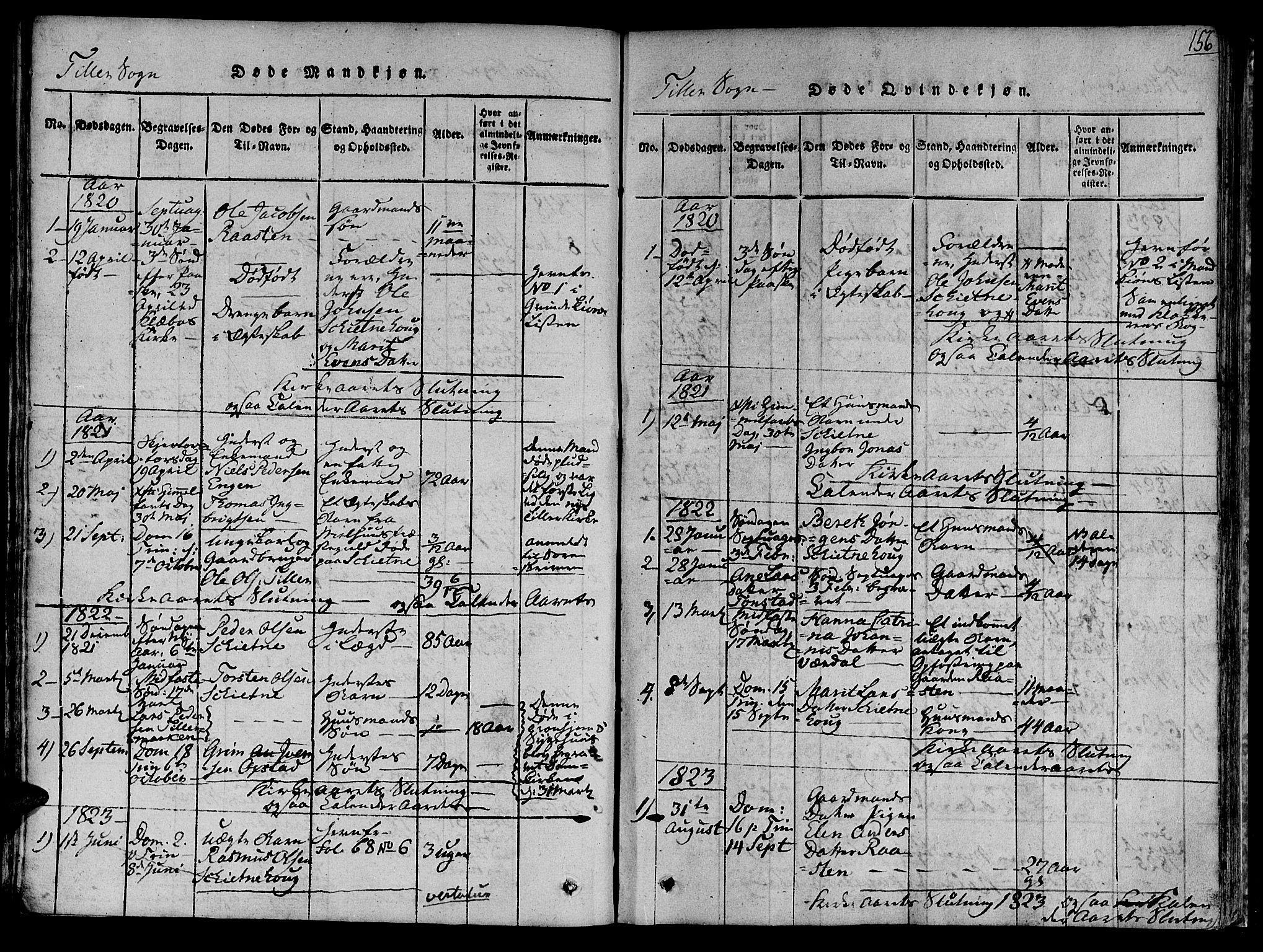 Ministerialprotokoller, klokkerbøker og fødselsregistre - Sør-Trøndelag, AV/SAT-A-1456/618/L0440: Ministerialbok nr. 618A04 /2, 1816-1843, s. 156
