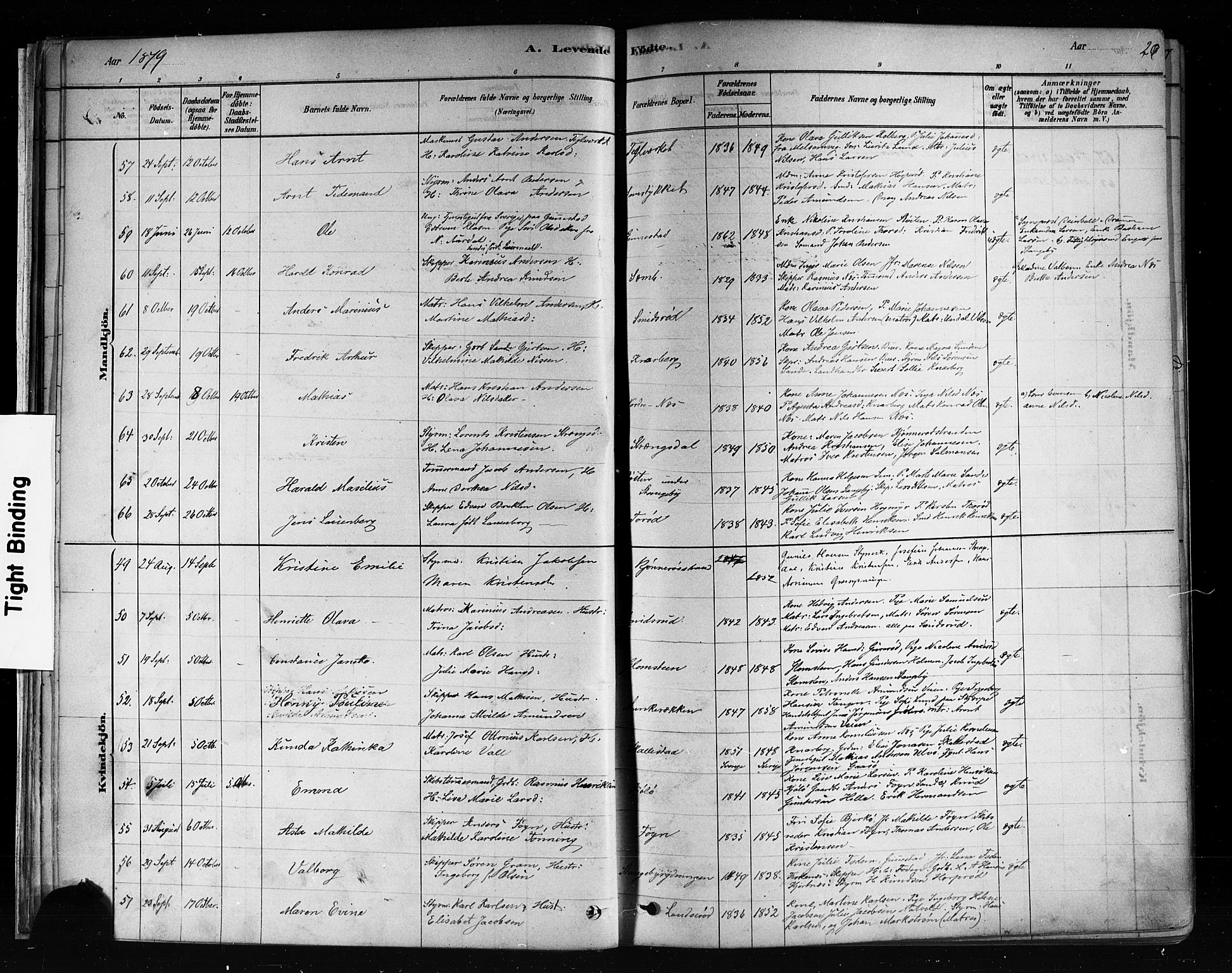 Nøtterøy kirkebøker, AV/SAKO-A-354/F/Fa/L0008: Ministerialbok nr. I 8, 1878-1893, s. 20
