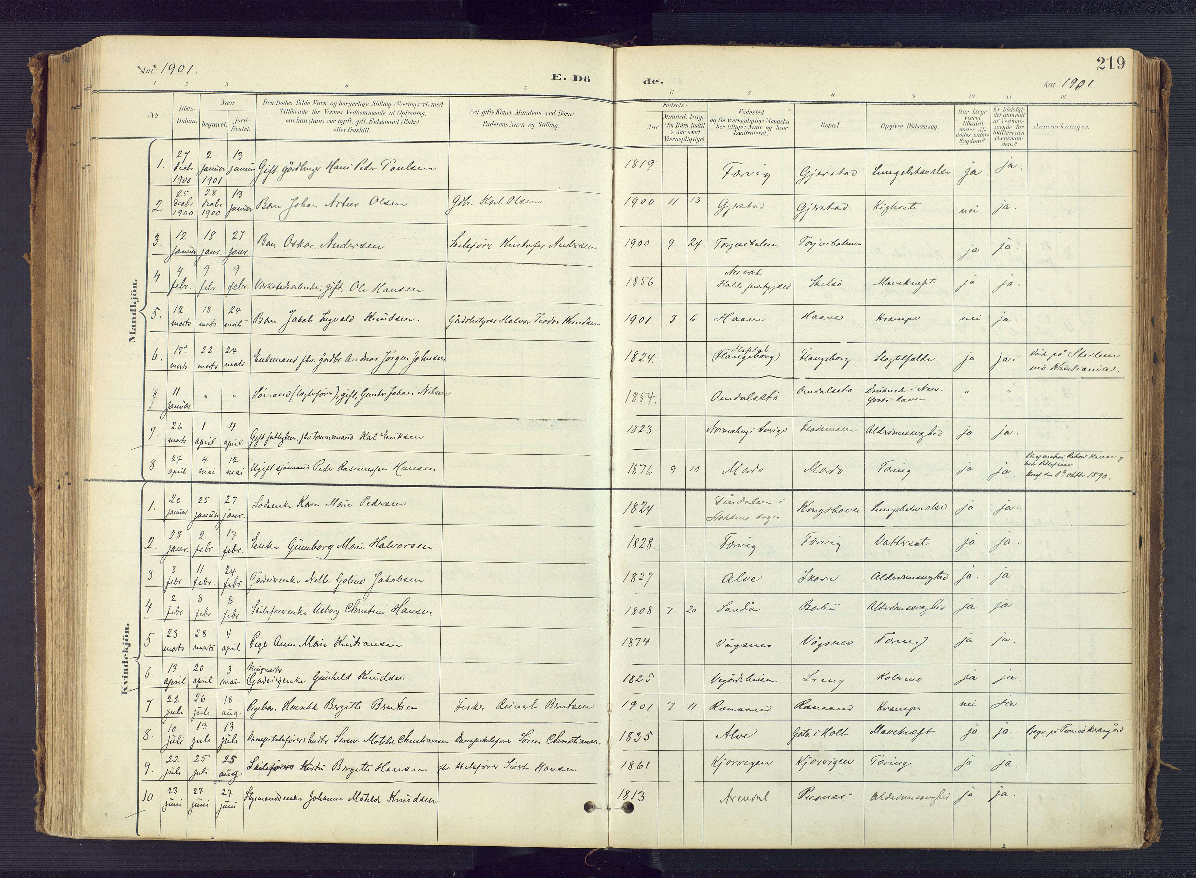 Tromøy sokneprestkontor, AV/SAK-1111-0041/F/Fa/L0010: Ministerialbok nr. A 10, 1896-1912, s. 219