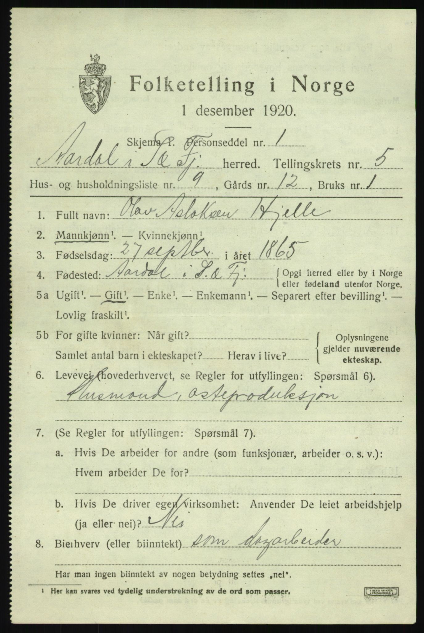 SAB, Folketelling 1920 for 1424 Årdal herred, 1920, s. 2895