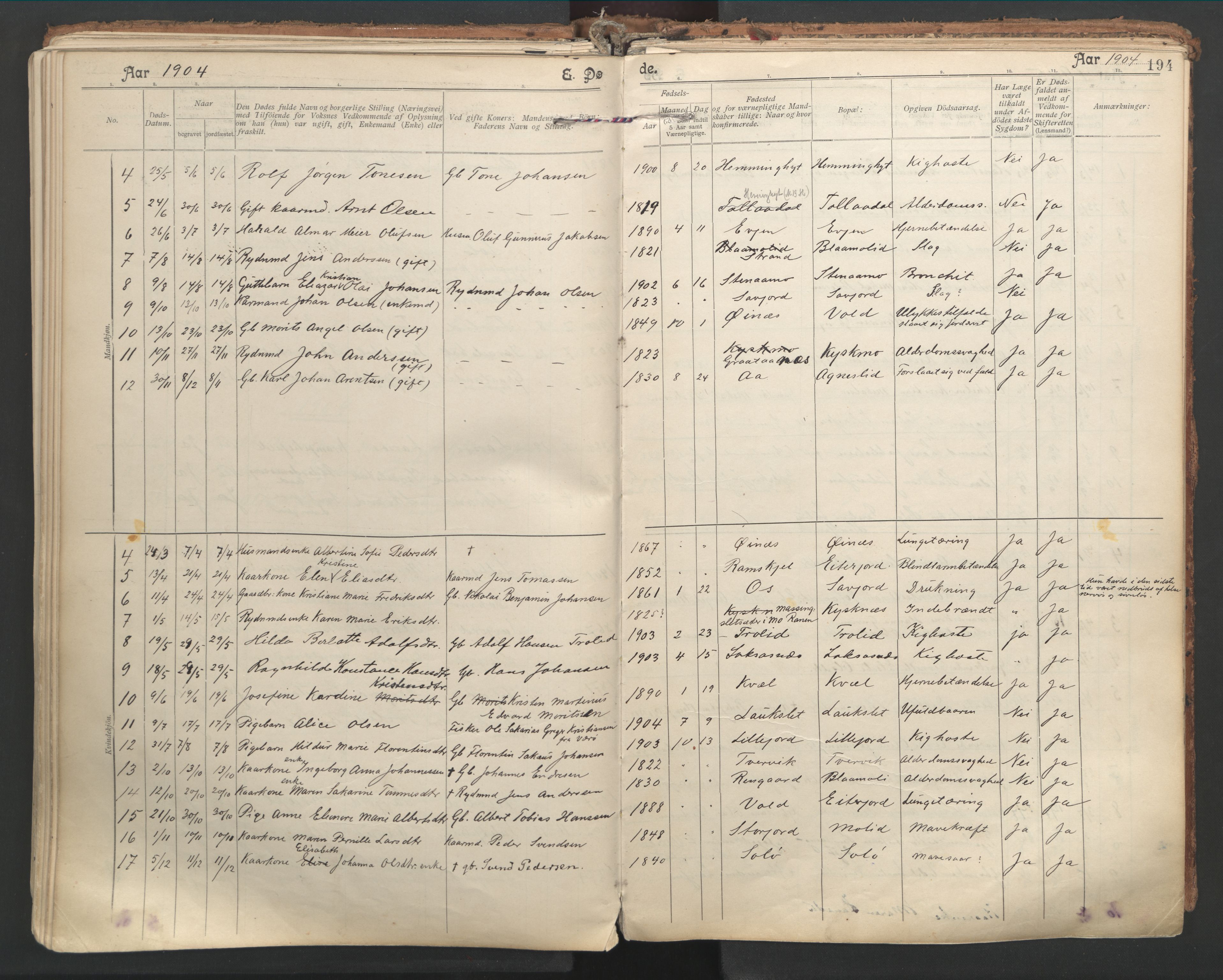 Ministerialprotokoller, klokkerbøker og fødselsregistre - Nordland, AV/SAT-A-1459/846/L0647: Ministerialbok nr. 846A05, 1902-1915, s. 194