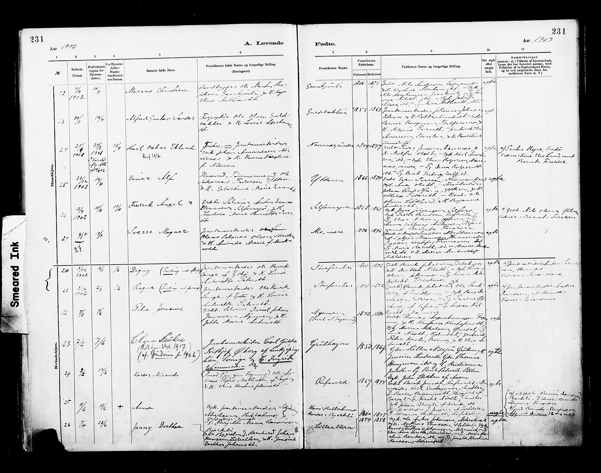Ministerialprotokoller, klokkerbøker og fødselsregistre - Nordland, AV/SAT-A-1459/827/L0400: Ministerialbok nr. 827A12, 1883-1903, s. 231