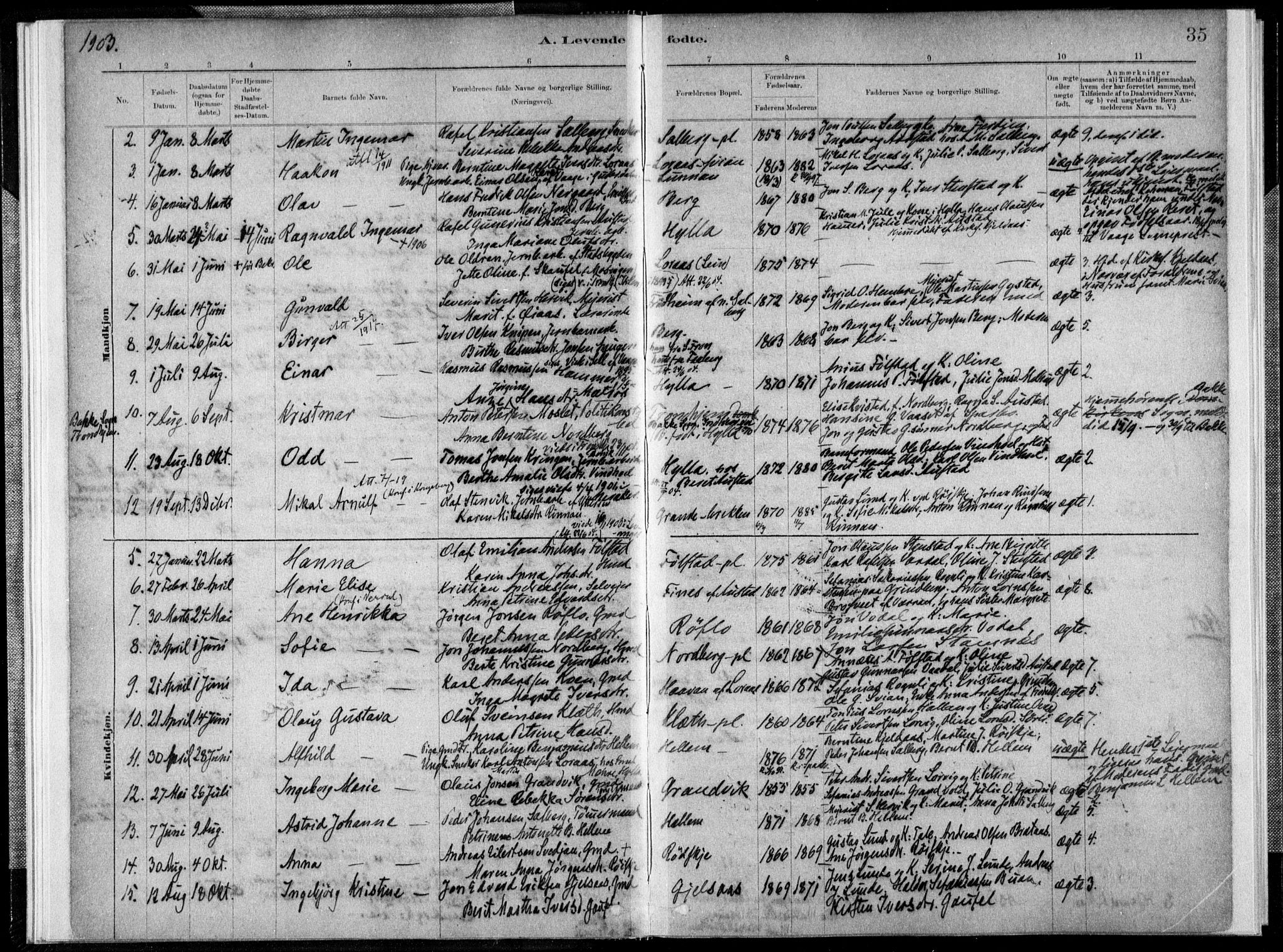 Ministerialprotokoller, klokkerbøker og fødselsregistre - Nord-Trøndelag, SAT/A-1458/731/L0309: Ministerialbok nr. 731A01, 1879-1918, s. 35