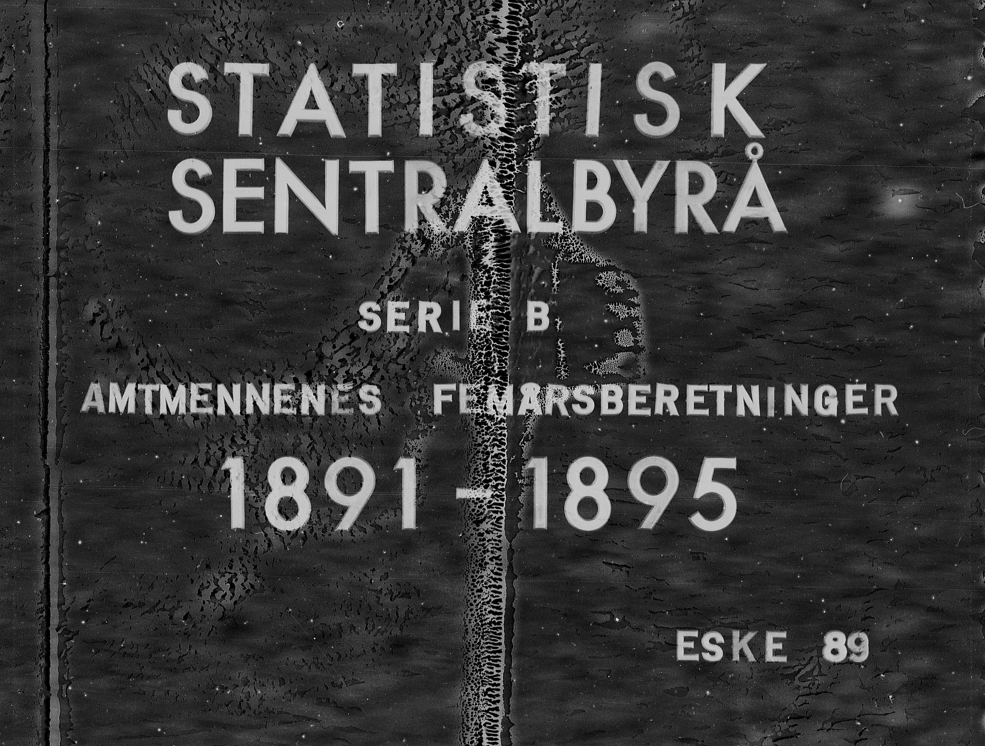 Statistisk sentralbyrå, Næringsøkonomiske emner, Generelt - Amtmennenes femårsberetninger, RA/S-2233/F/Fa/L0089: --, 1900, s. 1