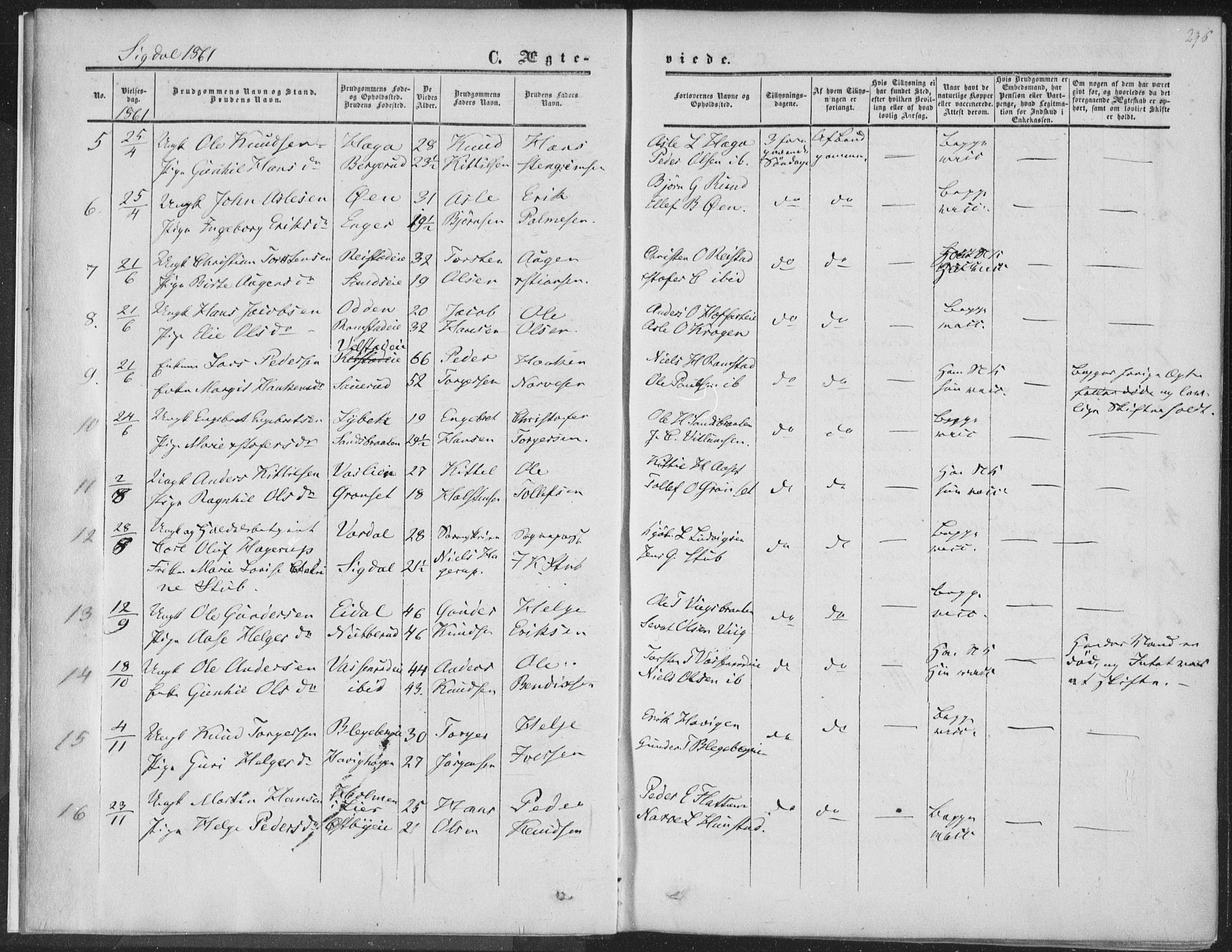 Sigdal kirkebøker, AV/SAKO-A-245/F/Fa/L0009b: Ministerialbok nr. I 9B, 1860-1871, s. 296