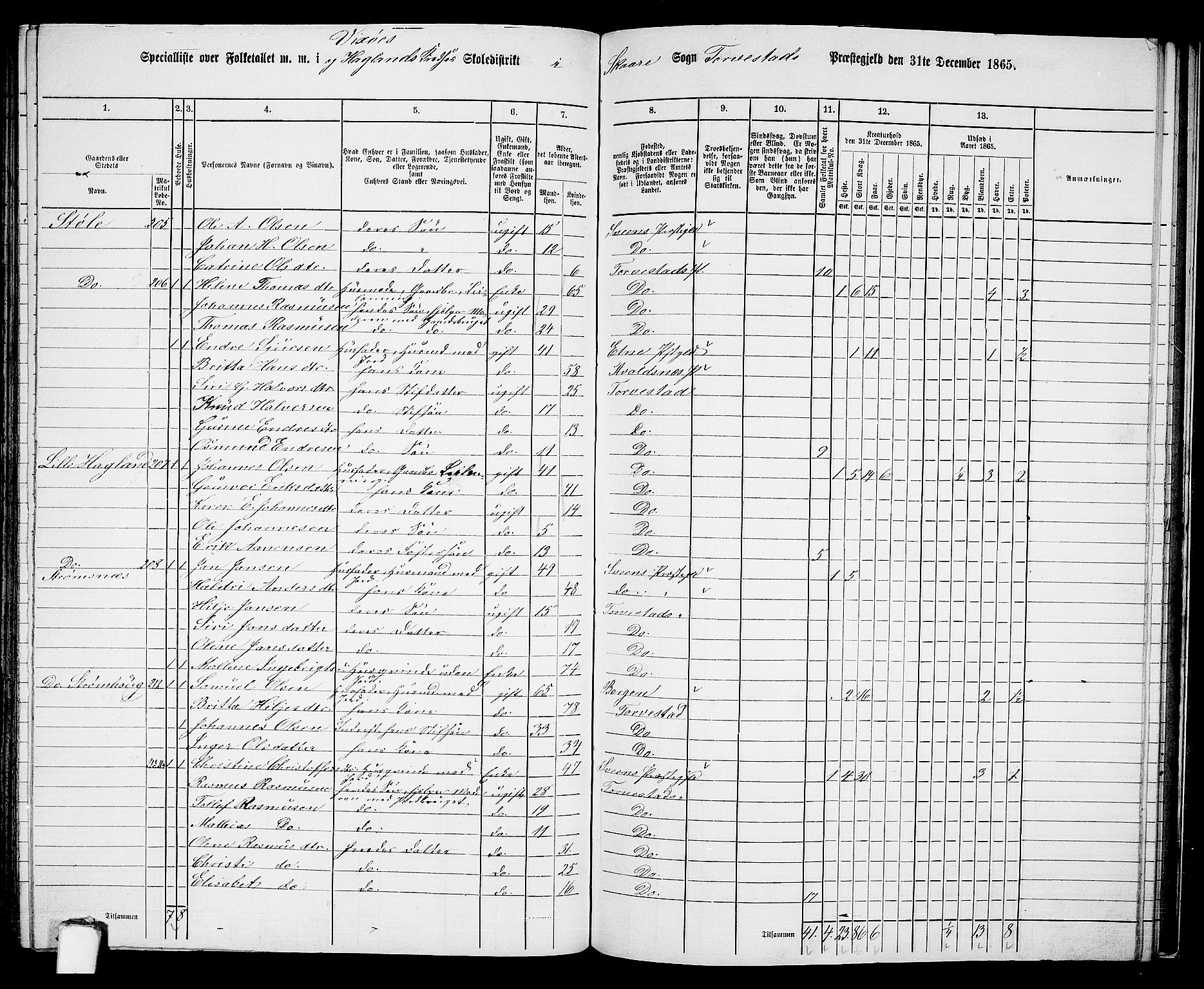 RA, Folketelling 1865 for 1152L Torvastad prestegjeld, Torvastad sokn, Skåre sokn og Utsira sokn, 1865, s. 129