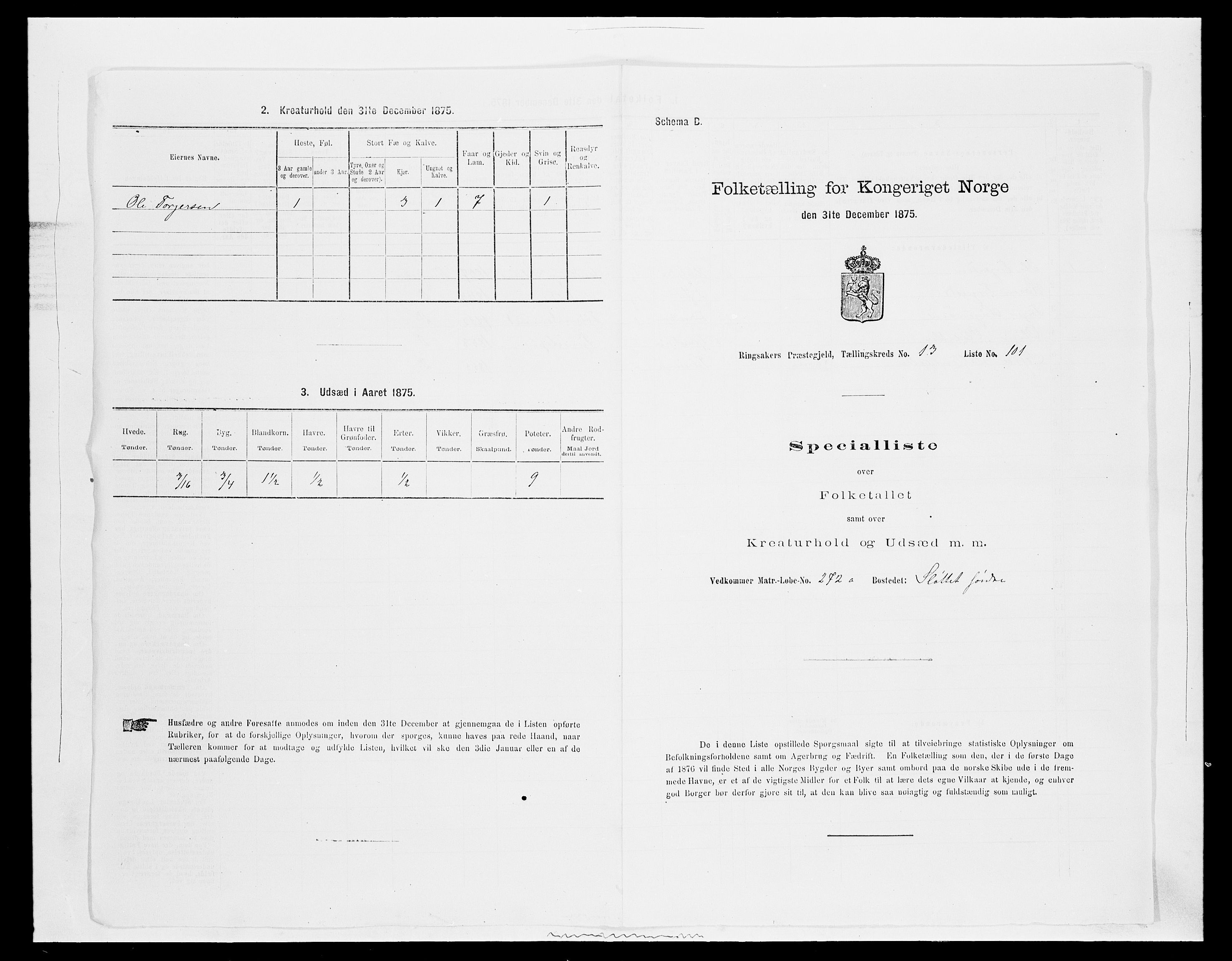 SAH, Folketelling 1875 for 0412P Ringsaker prestegjeld, 1875, s. 2811