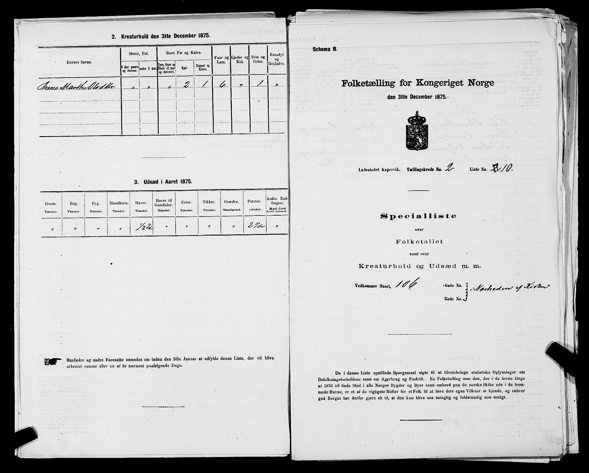 SAST, Folketelling 1875 for 1105B Avaldsnes prestegjeld, Kopervik ladested, 1875, s. 21