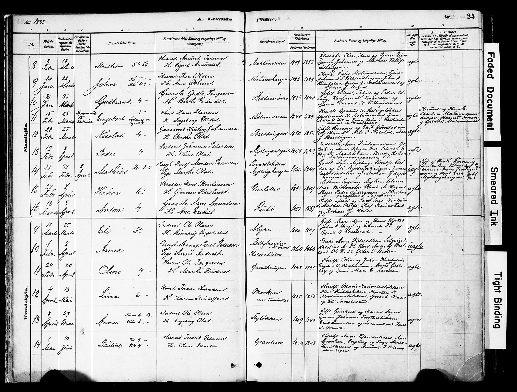 Ringebu prestekontor, AV/SAH-PREST-082/H/Ha/Haa/L0008: Ministerialbok nr. 8, 1878-1898, s. 25