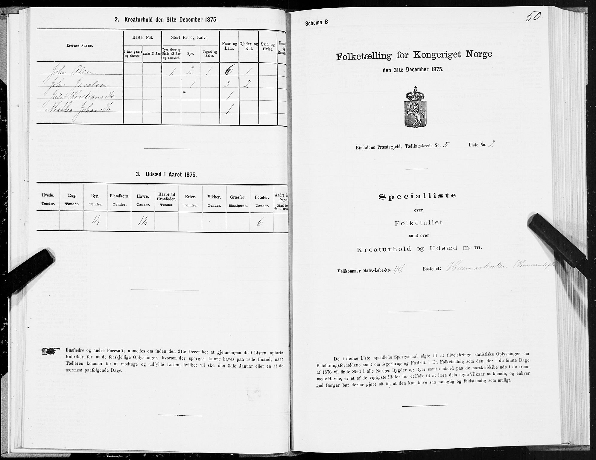 SAT, Folketelling 1875 for 1811P Bindal prestegjeld, 1875, s. 2050