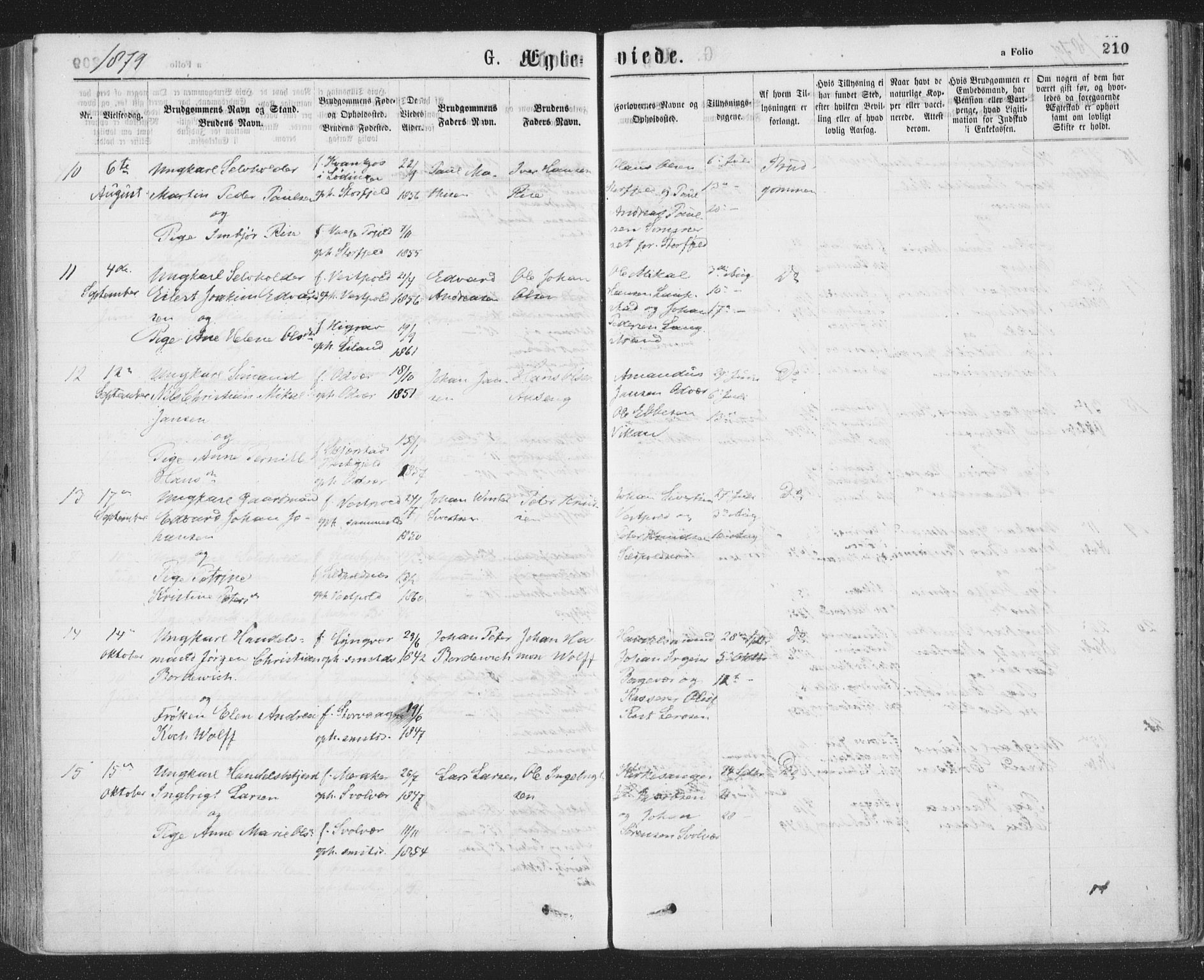 Ministerialprotokoller, klokkerbøker og fødselsregistre - Nordland, AV/SAT-A-1459/874/L1058: Ministerialbok nr. 874A02, 1878-1883, s. 210