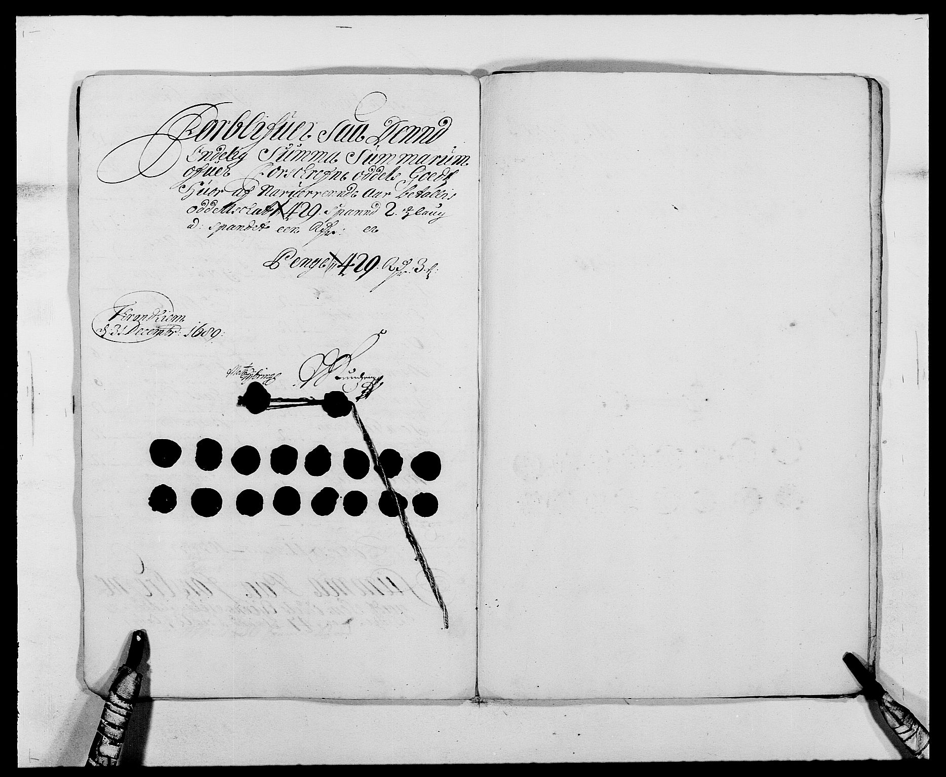 Rentekammeret inntil 1814, Reviderte regnskaper, Fogderegnskap, RA/EA-4092/R61/L4102: Fogderegnskap Strinda og Selbu, 1689-1690, s. 84