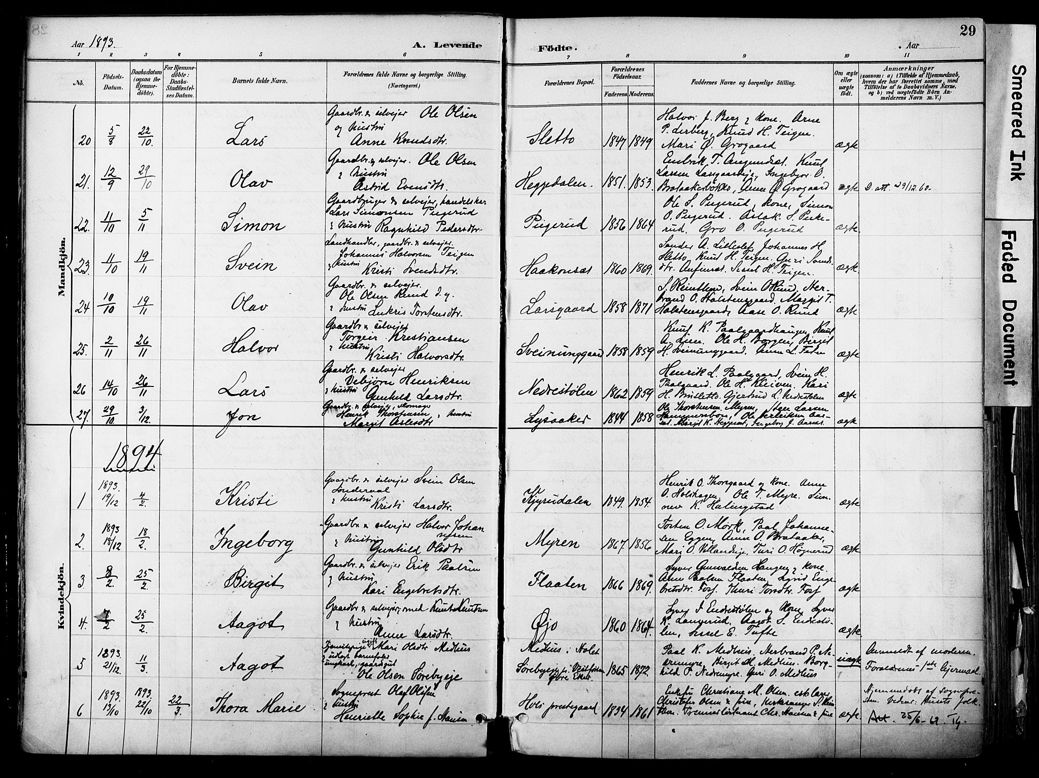 Hol kirkebøker, AV/SAKO-A-227/F/Fa/L0003: Ministerialbok nr. I 3, 1887-1918, s. 29