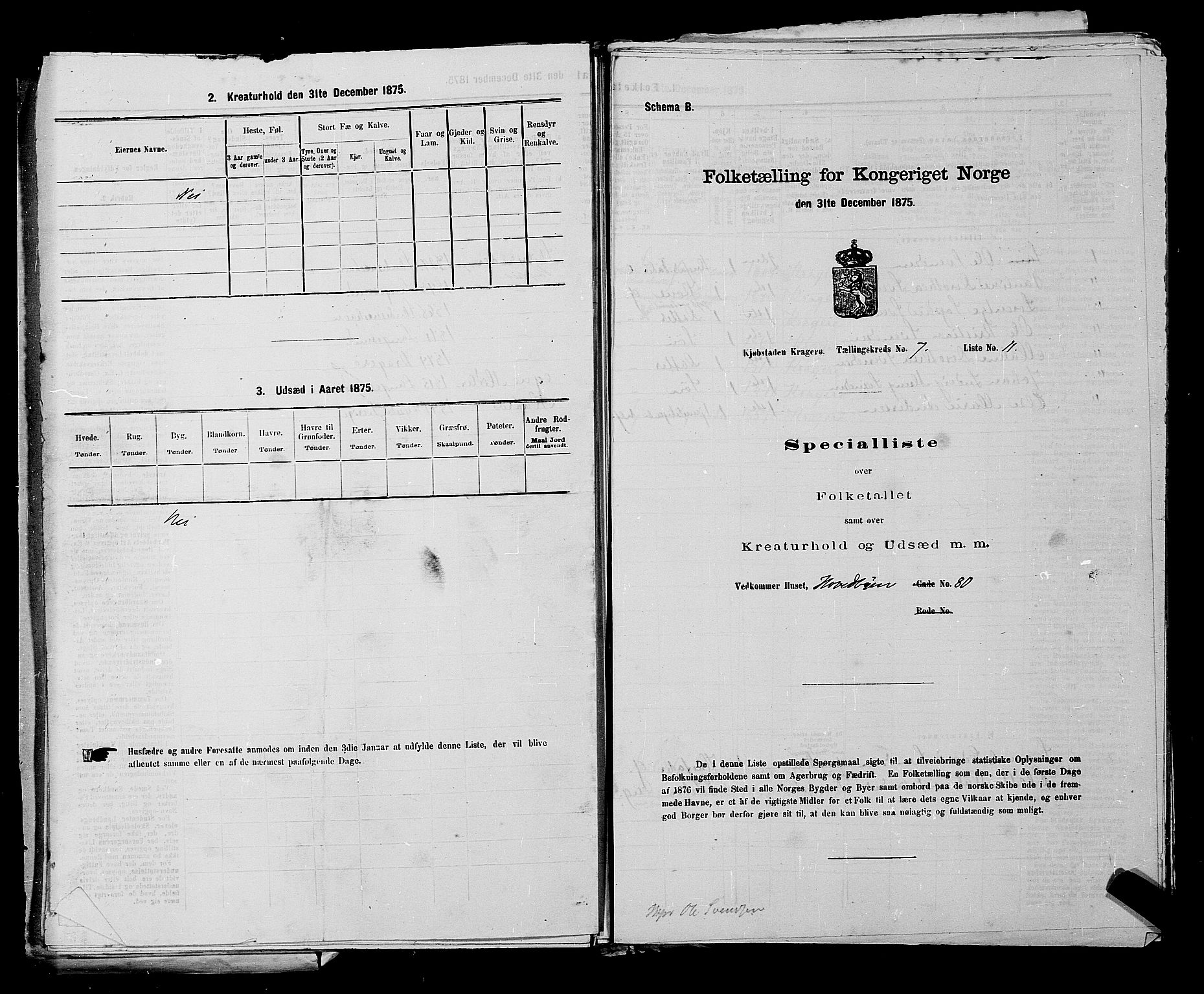 SAKO, Folketelling 1875 for 0801P Kragerø prestegjeld, 1875, s. 168