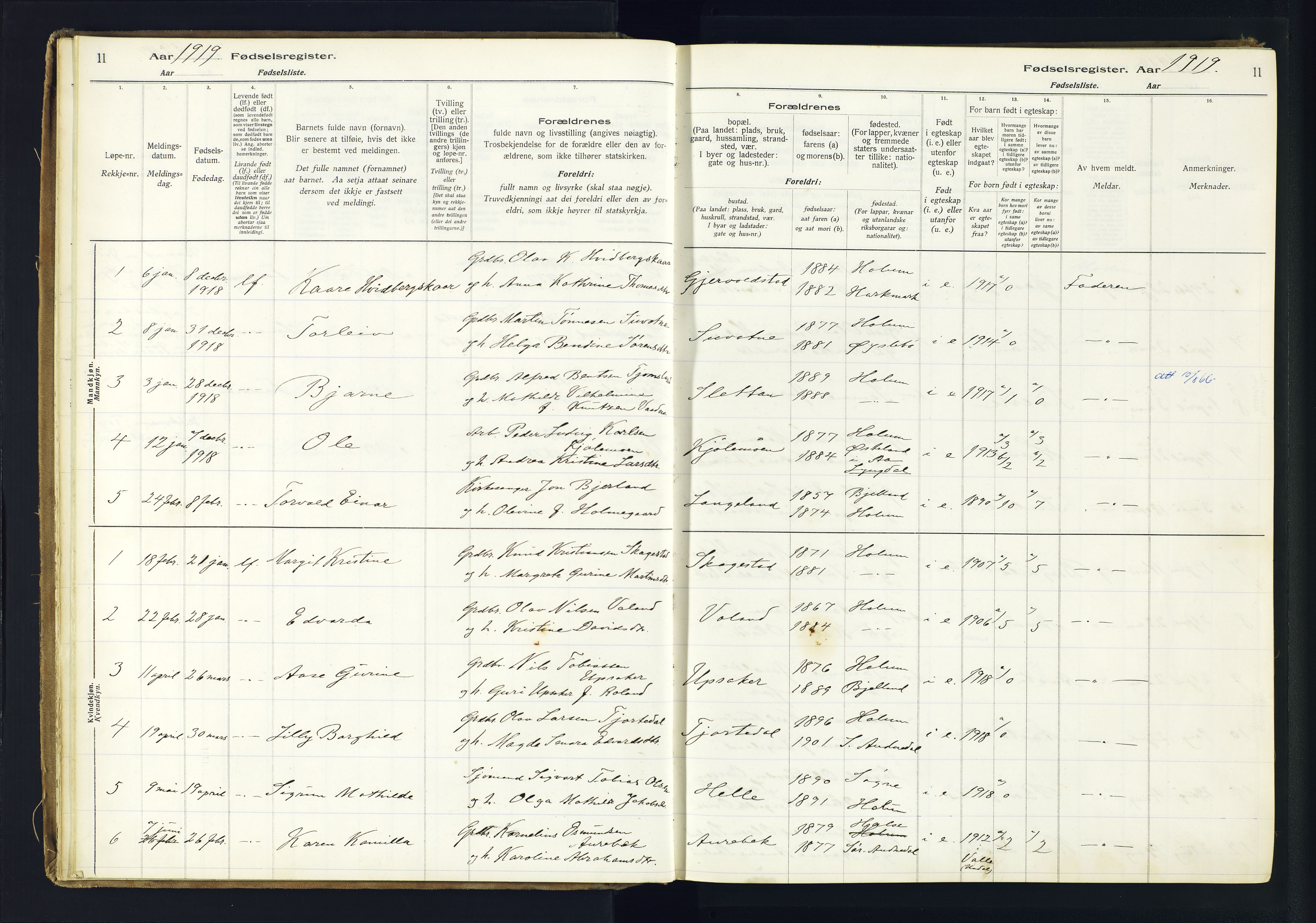 Holum sokneprestkontor, AV/SAK-1111-0022/J/Ja/L0003: Fødselsregister nr. II.6.12, 1916-1982, s. 11