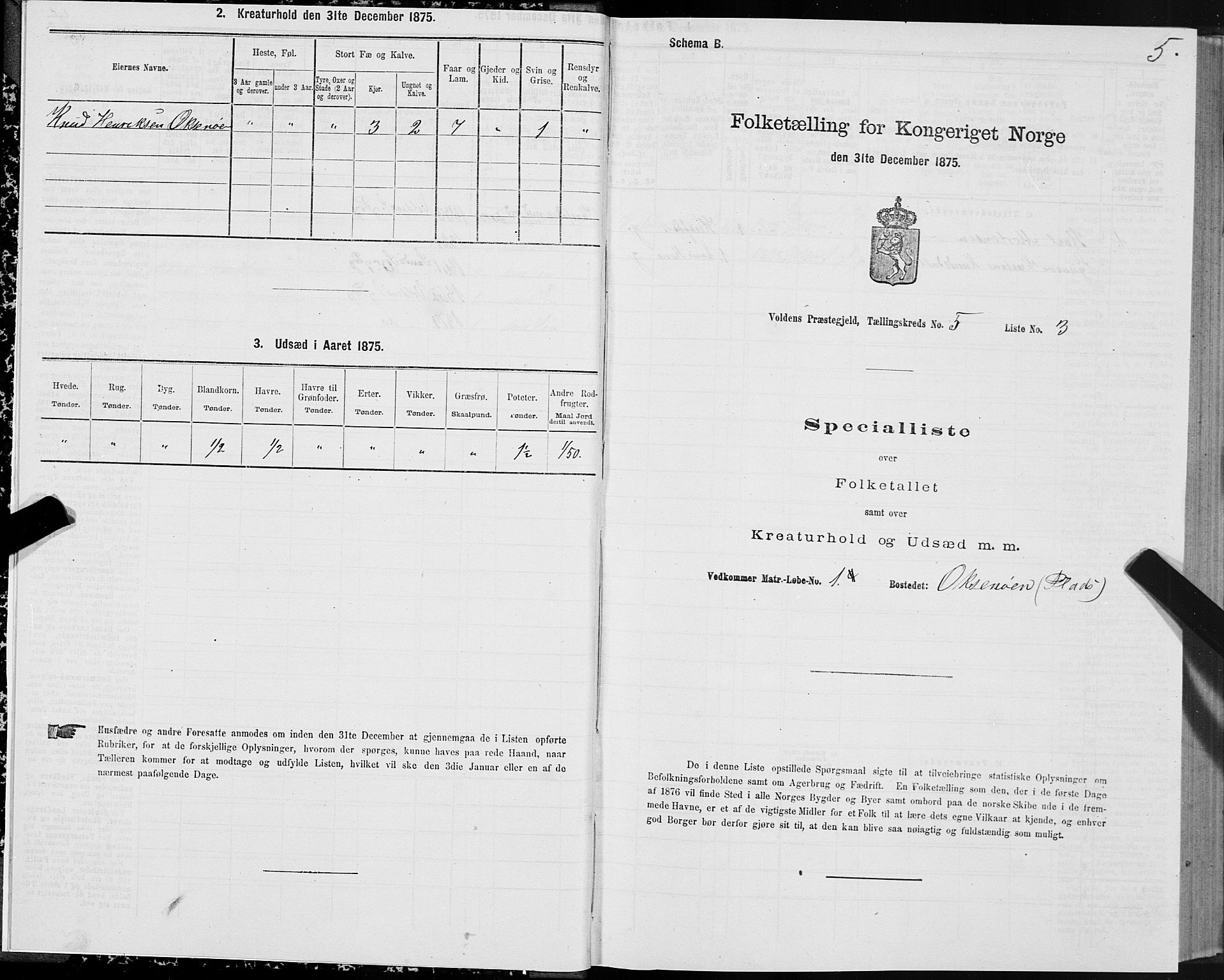 SAT, Folketelling 1875 for 1519P Volda prestegjeld, 1875, s. 4005