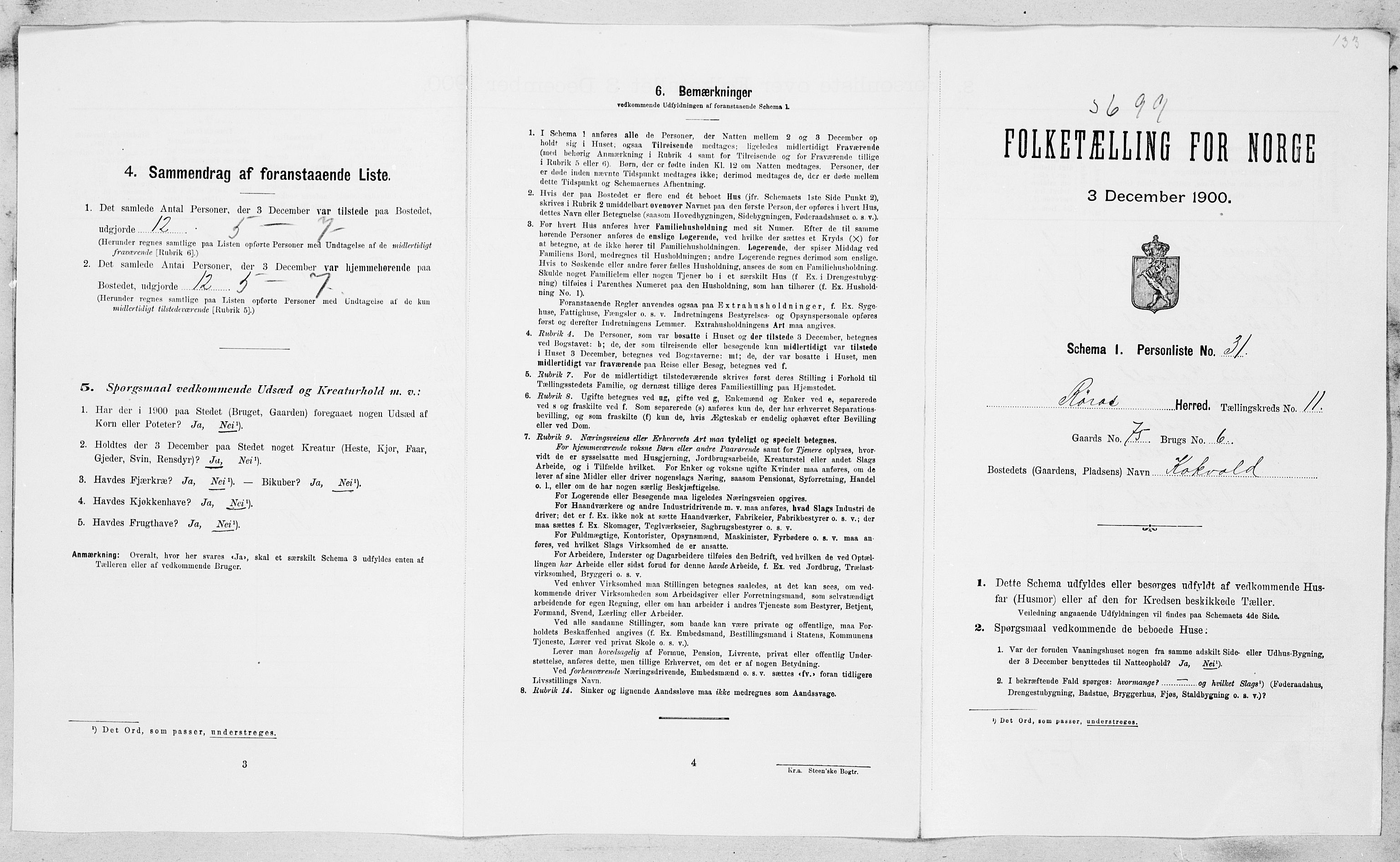 SAT, Folketelling 1900 for 1640 Røros herred, 1900, s. 1205