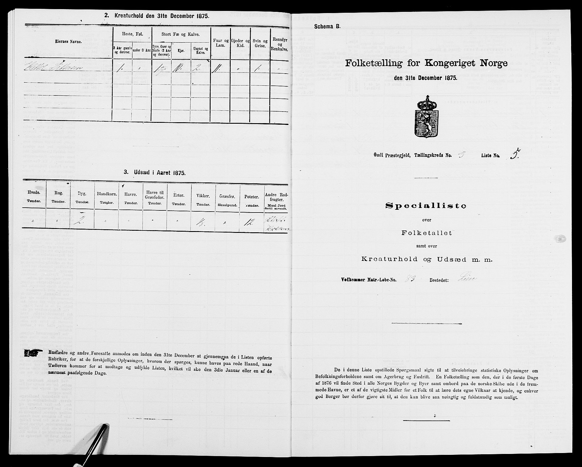 SAK, Folketelling 1875 for 0929P Åmli prestegjeld, 1875, s. 185