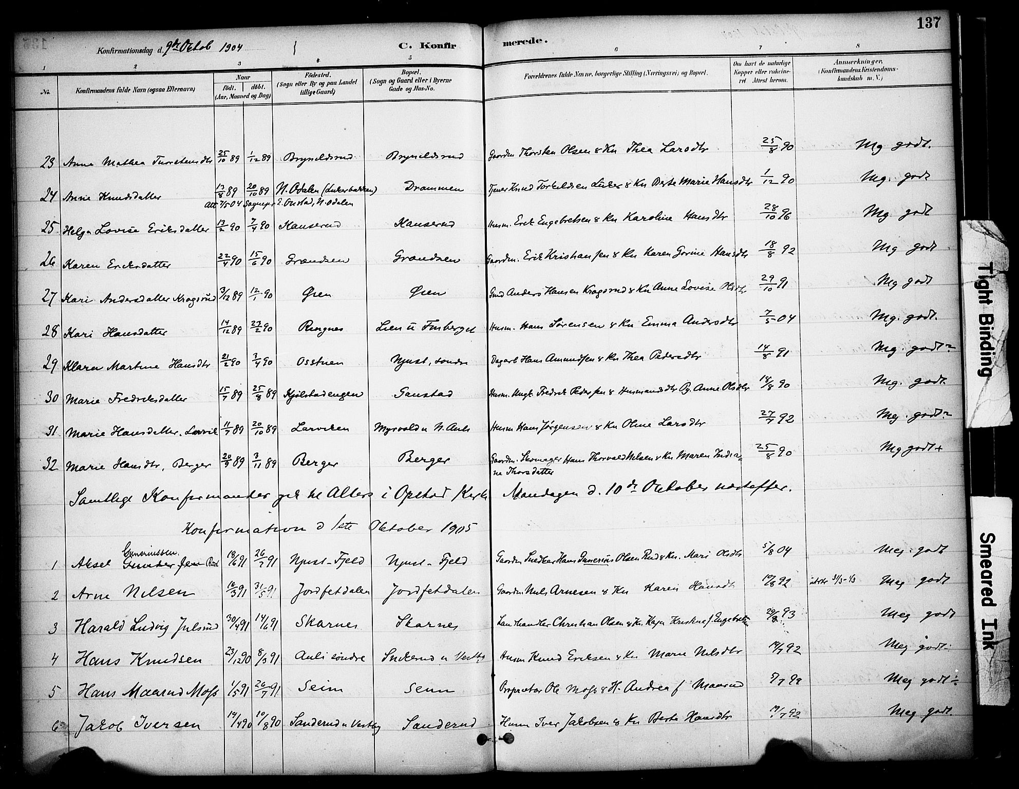 Sør-Odal prestekontor, AV/SAH-PREST-030/H/Ha/Haa/L0009: Ministerialbok nr. 9, 1886-1926, s. 137