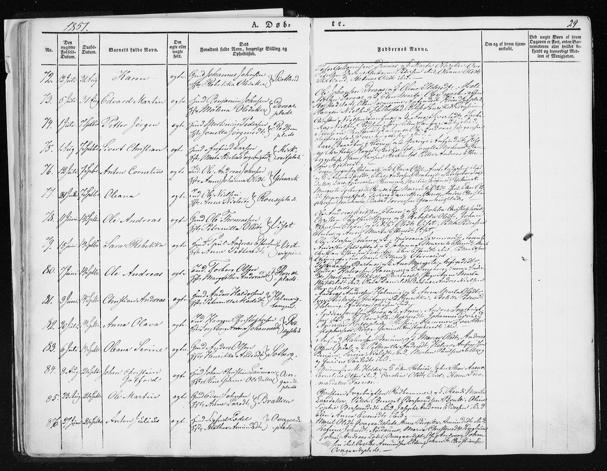 Ministerialprotokoller, klokkerbøker og fødselsregistre - Nord-Trøndelag, SAT/A-1458/741/L0393: Ministerialbok nr. 741A07, 1849-1863, s. 29