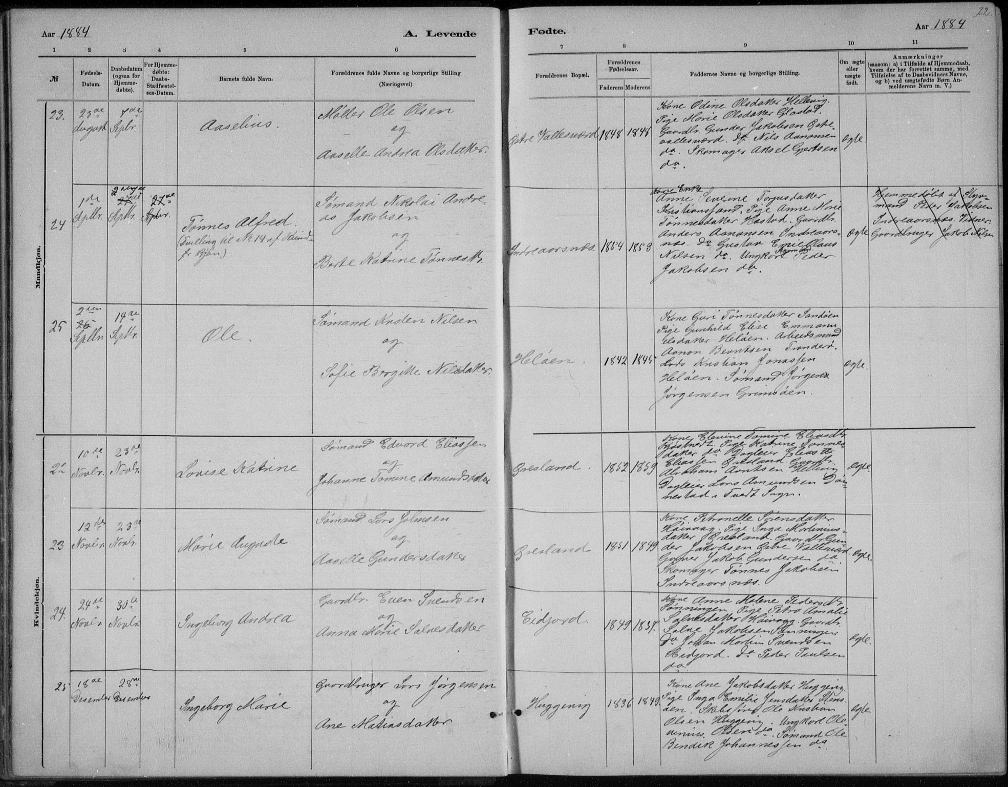 Høvåg sokneprestkontor, AV/SAK-1111-0025/F/Fb/L0004: Klokkerbok nr. B 4, 1883-1898, s. 22