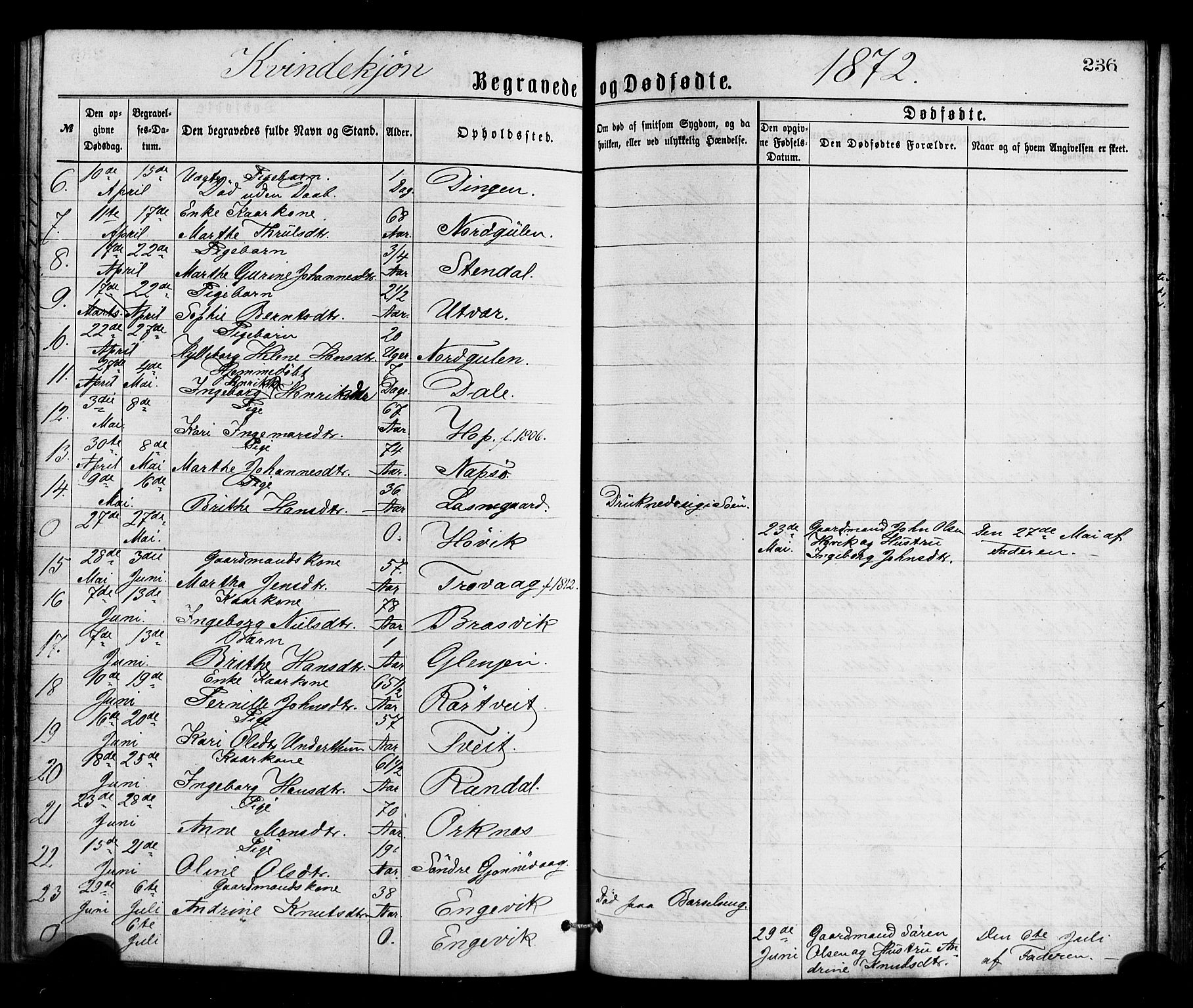 Gulen sokneprestembete, AV/SAB-A-80201/H/Haa/Haaa/L0023: Ministerialbok nr. A 23, 1870-1880, s. 236