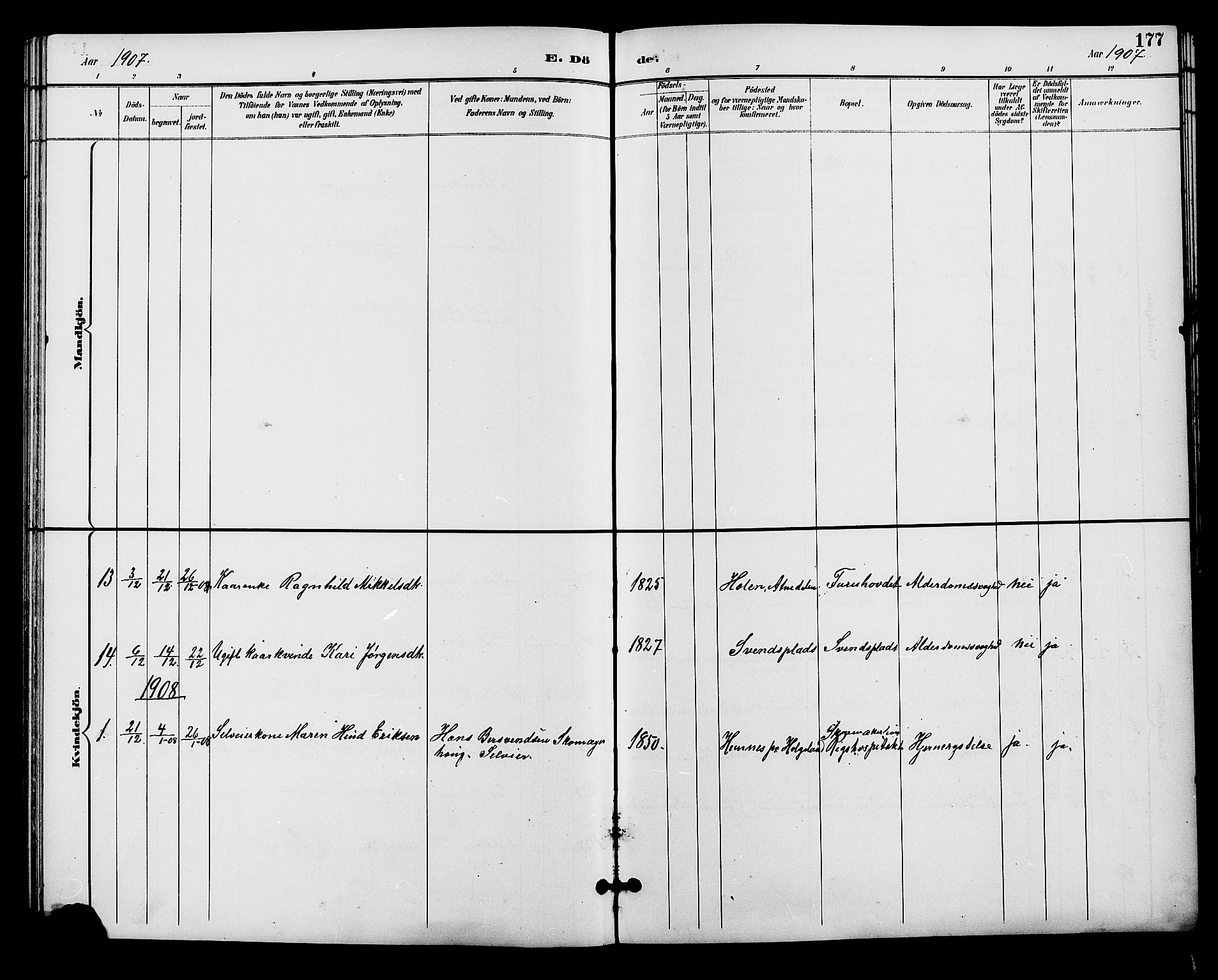 Alvdal prestekontor, SAH/PREST-060/H/Ha/Hab/L0004: Klokkerbok nr. 4, 1894-1910, s. 177