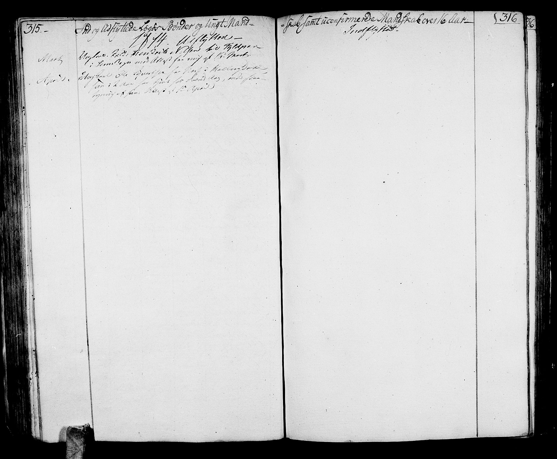 Sande Kirkebøker, SAKO/A-53/F/Fa/L0002: Ministerialbok nr. 2, 1804-1814, s. 315-316