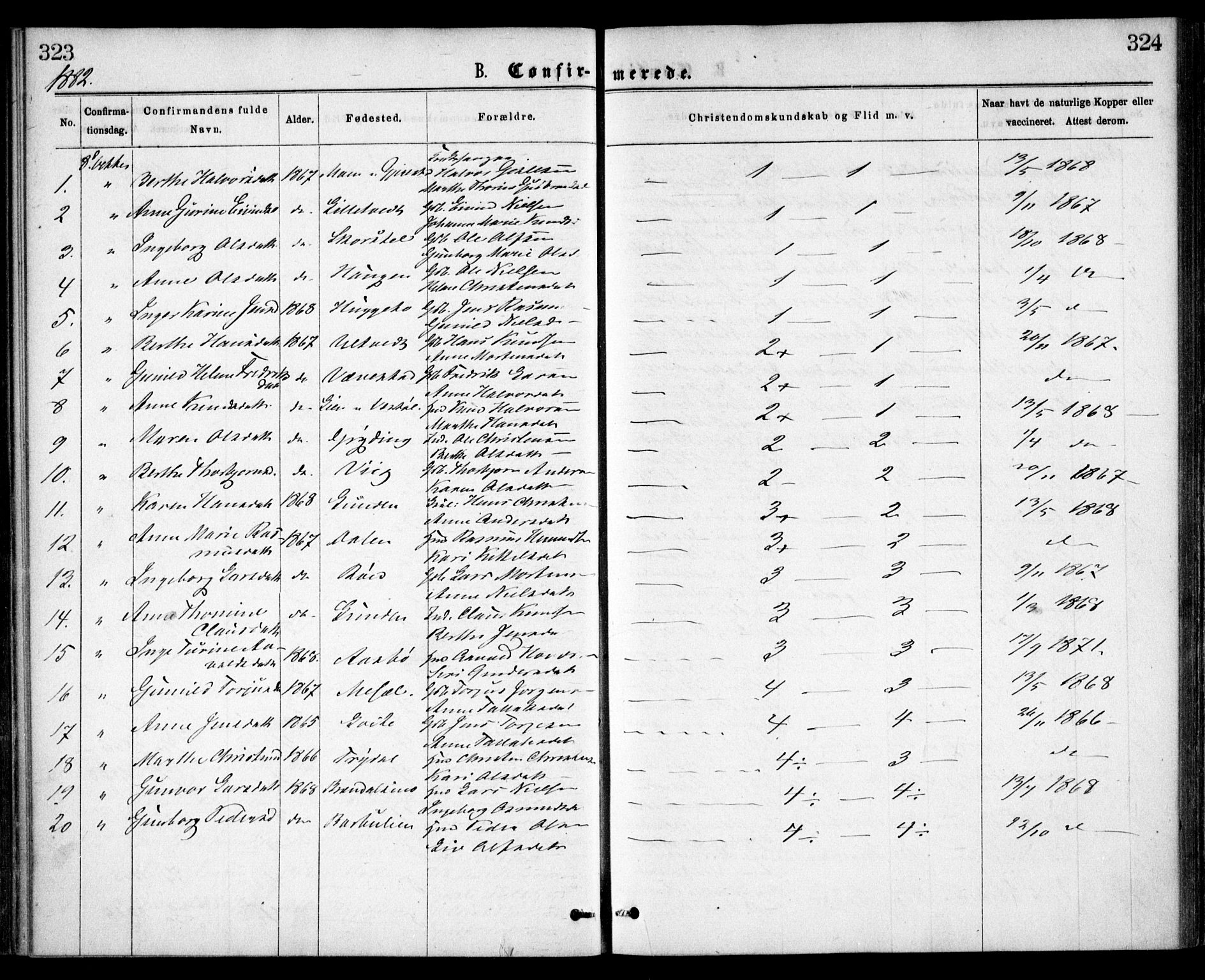 Gjerstad sokneprestkontor, AV/SAK-1111-0014/F/Fa/Faa/L0008: Ministerialbok nr. A 8, 1876-1884, s. 323-324