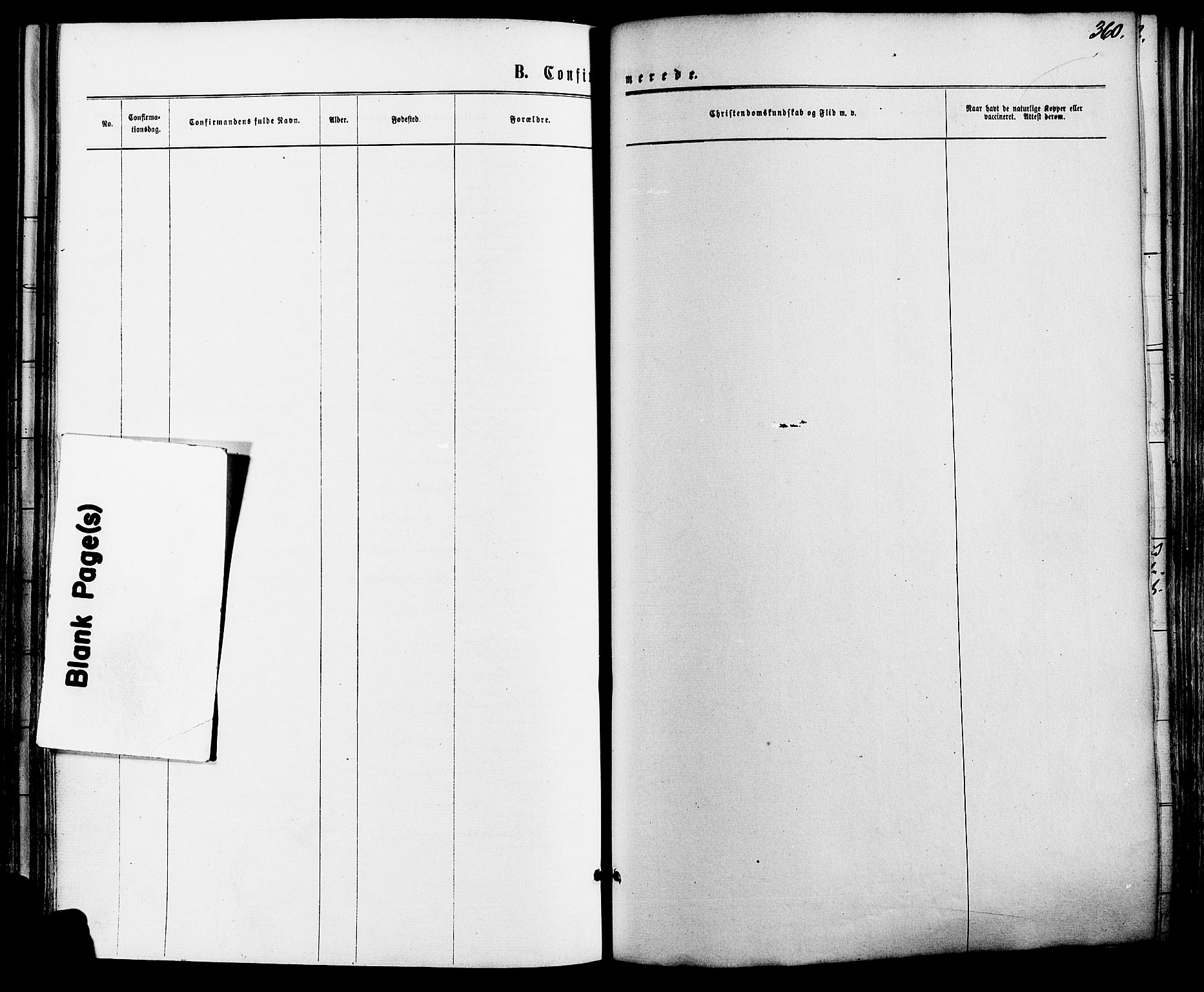 Vinger prestekontor, SAH/PREST-024/H/Ha/Haa/L0012: Ministerialbok nr. 12, 1871-1880, s. 360