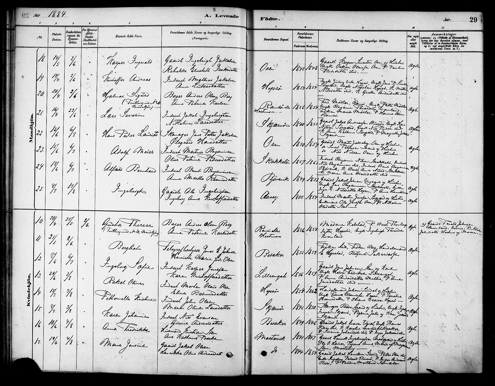 Ministerialprotokoller, klokkerbøker og fødselsregistre - Sør-Trøndelag, SAT/A-1456/658/L0722: Ministerialbok nr. 658A01, 1879-1896, s. 29