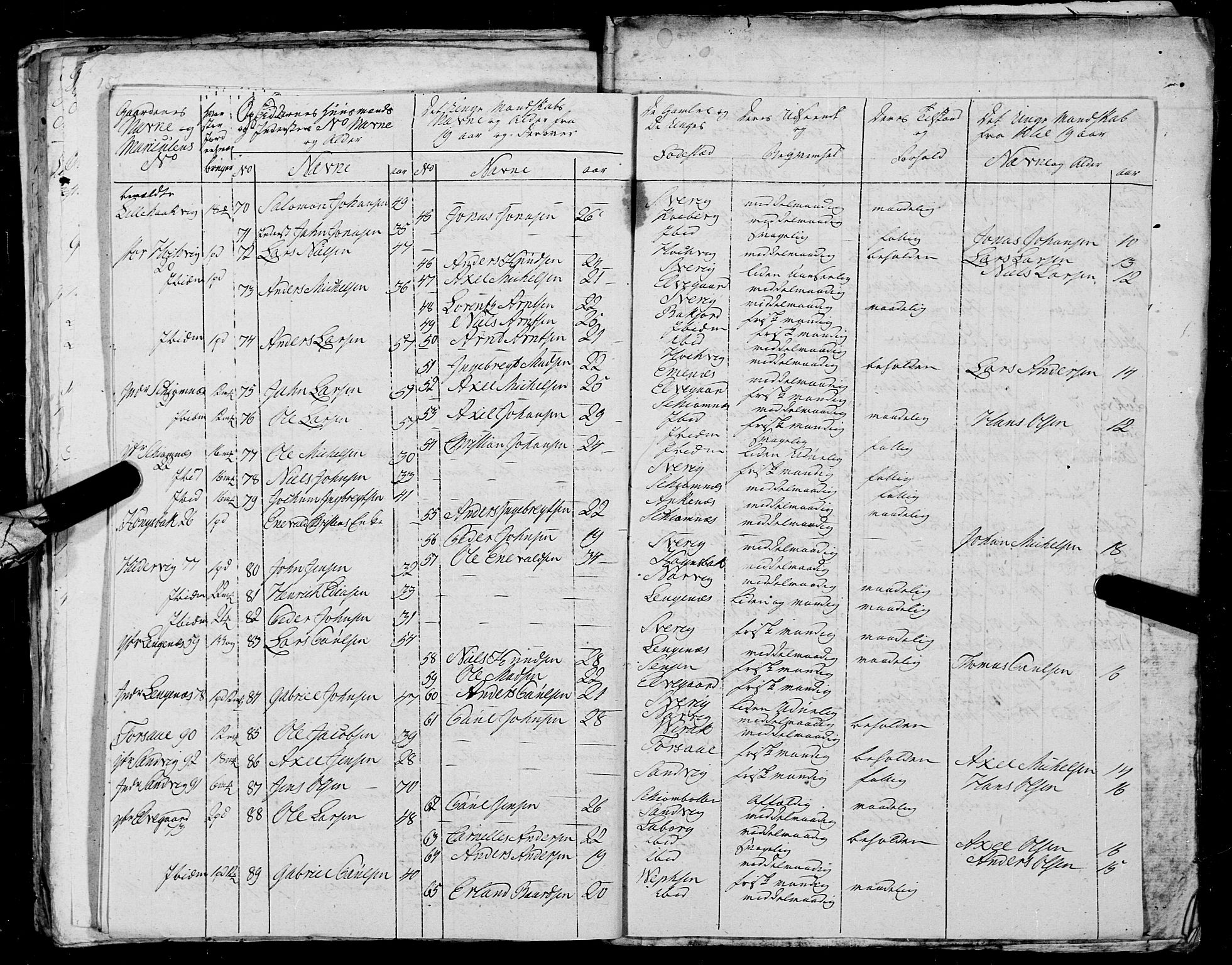Fylkesmannen i Nordland, AV/SAT-A-0499/1.1/R/Ra/L0023: Innrulleringsmanntall for Ofoten, 1810-1836, s. 195