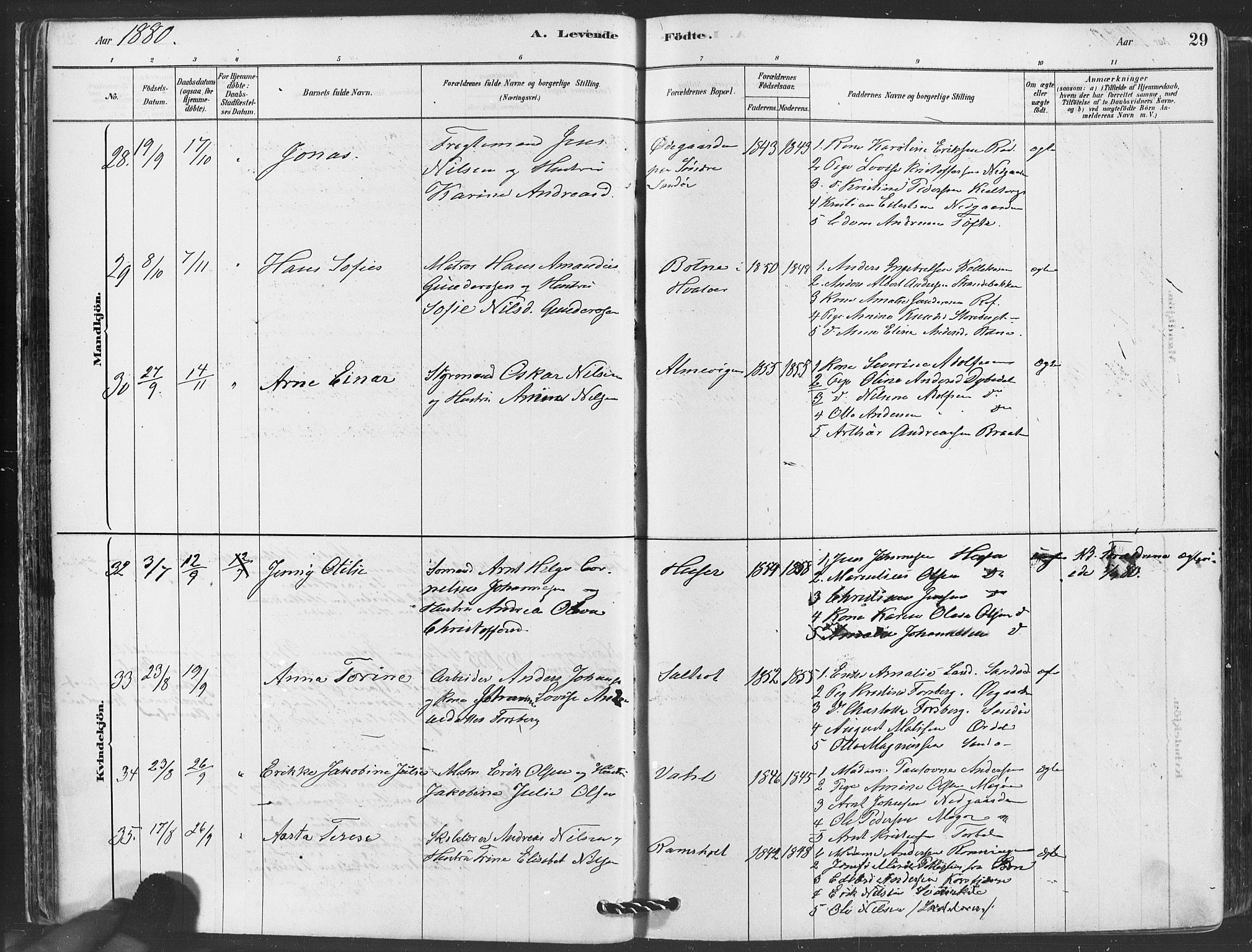 Hvaler prestekontor Kirkebøker, AV/SAO-A-2001/F/Fa/L0008: Ministerialbok nr. I 8, 1878-1895, s. 29