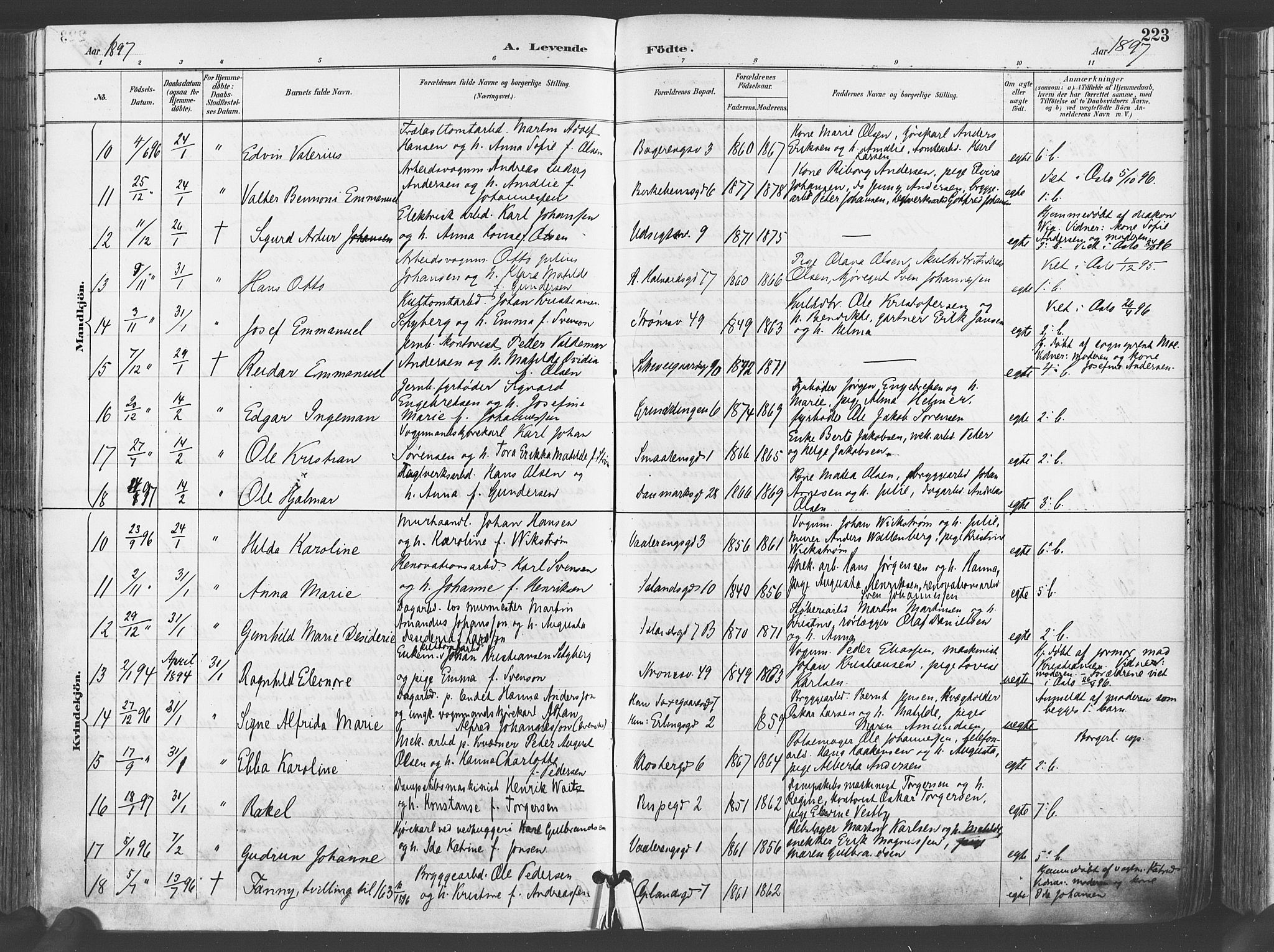 Gamlebyen prestekontor Kirkebøker, AV/SAO-A-10884/F/Fa/L0007: Ministerialbok nr. 7, 1889-1899, s. 223