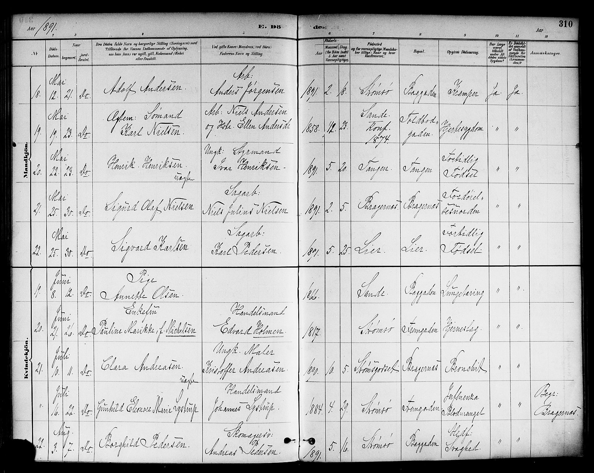 Strømsø kirkebøker, AV/SAKO-A-246/F/Fa/L0023: Ministerialbok nr. I 23, 1885-1894, s. 310