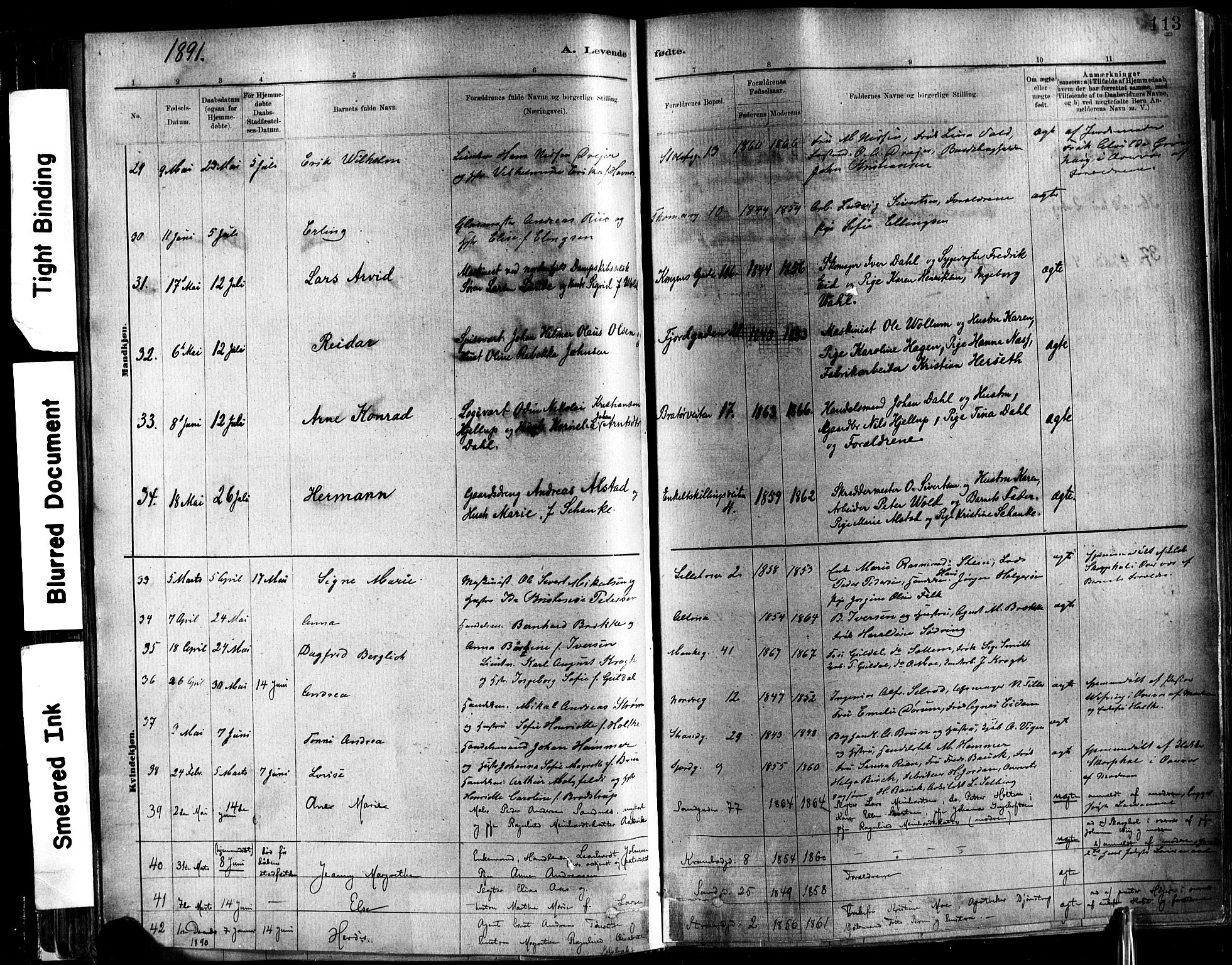 Ministerialprotokoller, klokkerbøker og fødselsregistre - Sør-Trøndelag, AV/SAT-A-1456/602/L0119: Ministerialbok nr. 602A17, 1880-1901, s. 113