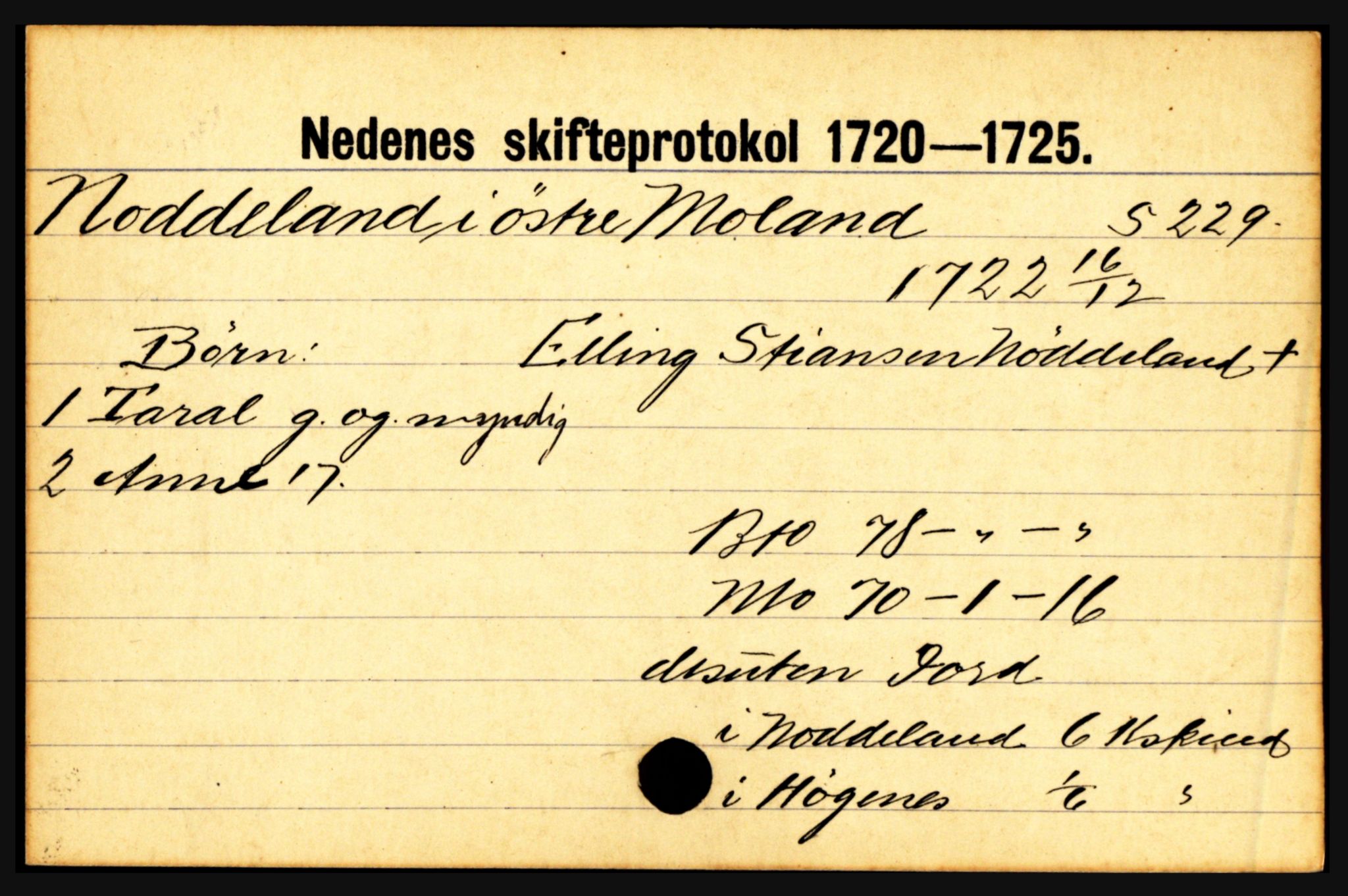 Nedenes sorenskriveri før 1824, AV/SAK-1221-0007/H, s. 22317