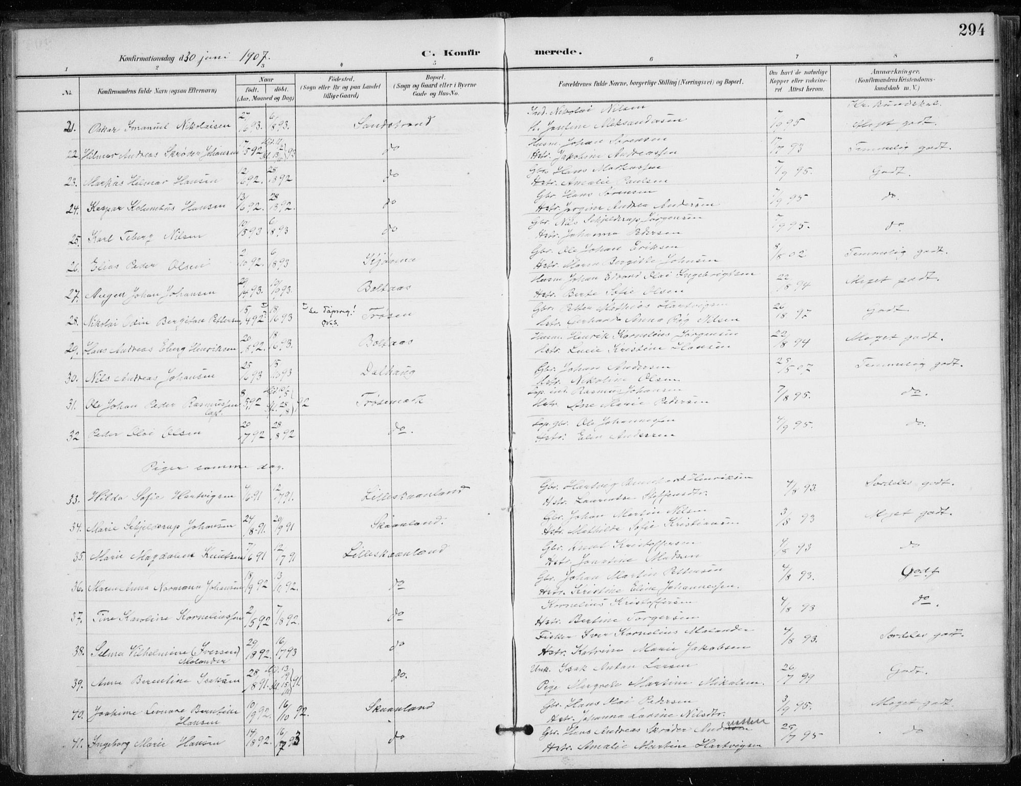 Trondenes sokneprestkontor, AV/SATØ-S-1319/H/Ha/L0017kirke: Ministerialbok nr. 17, 1899-1908, s. 294