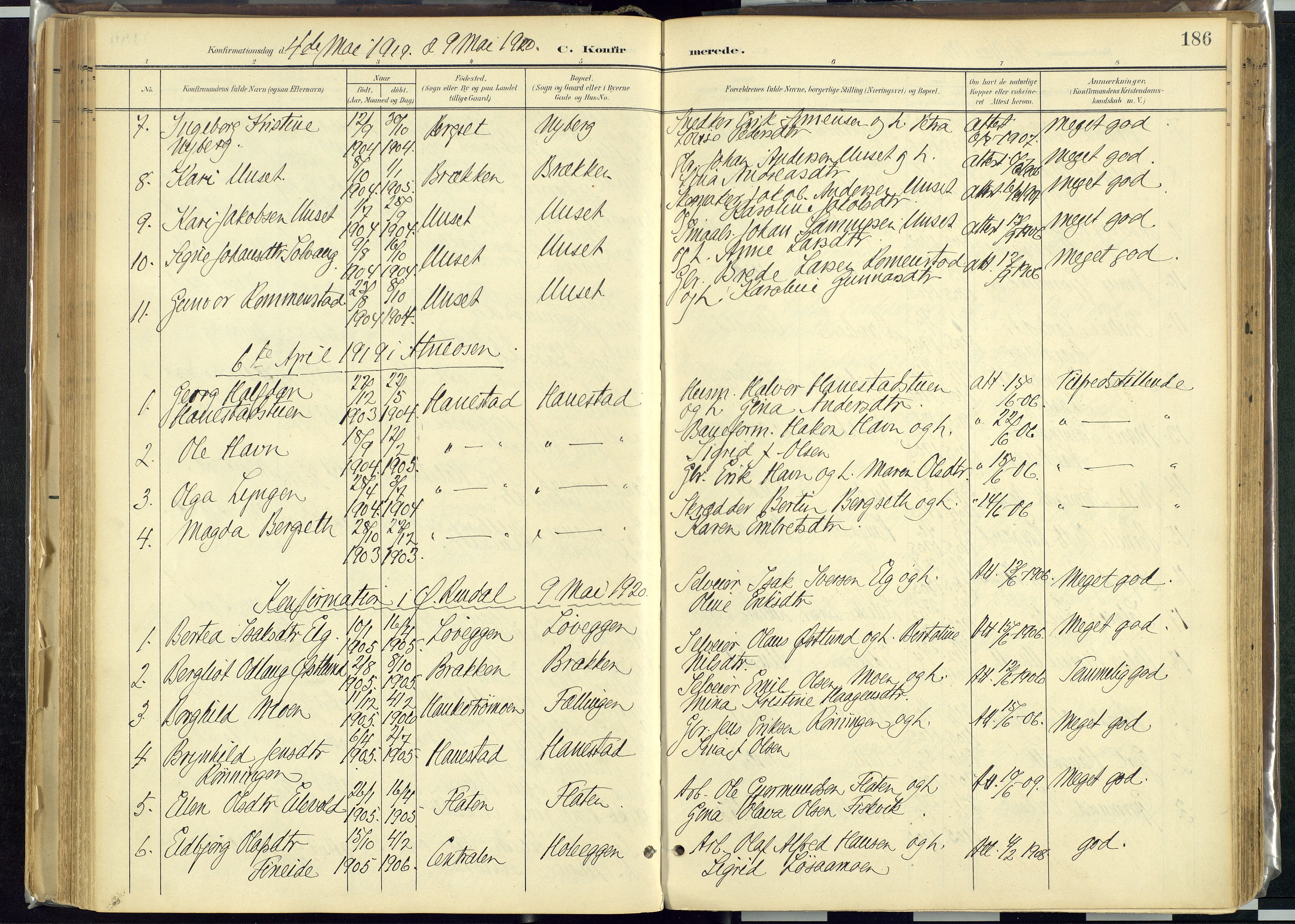 Rendalen prestekontor, AV/SAH-PREST-054/H/Ha/Haa/L0012: Ministerialbok nr. 12, 1901-1928, s. 186