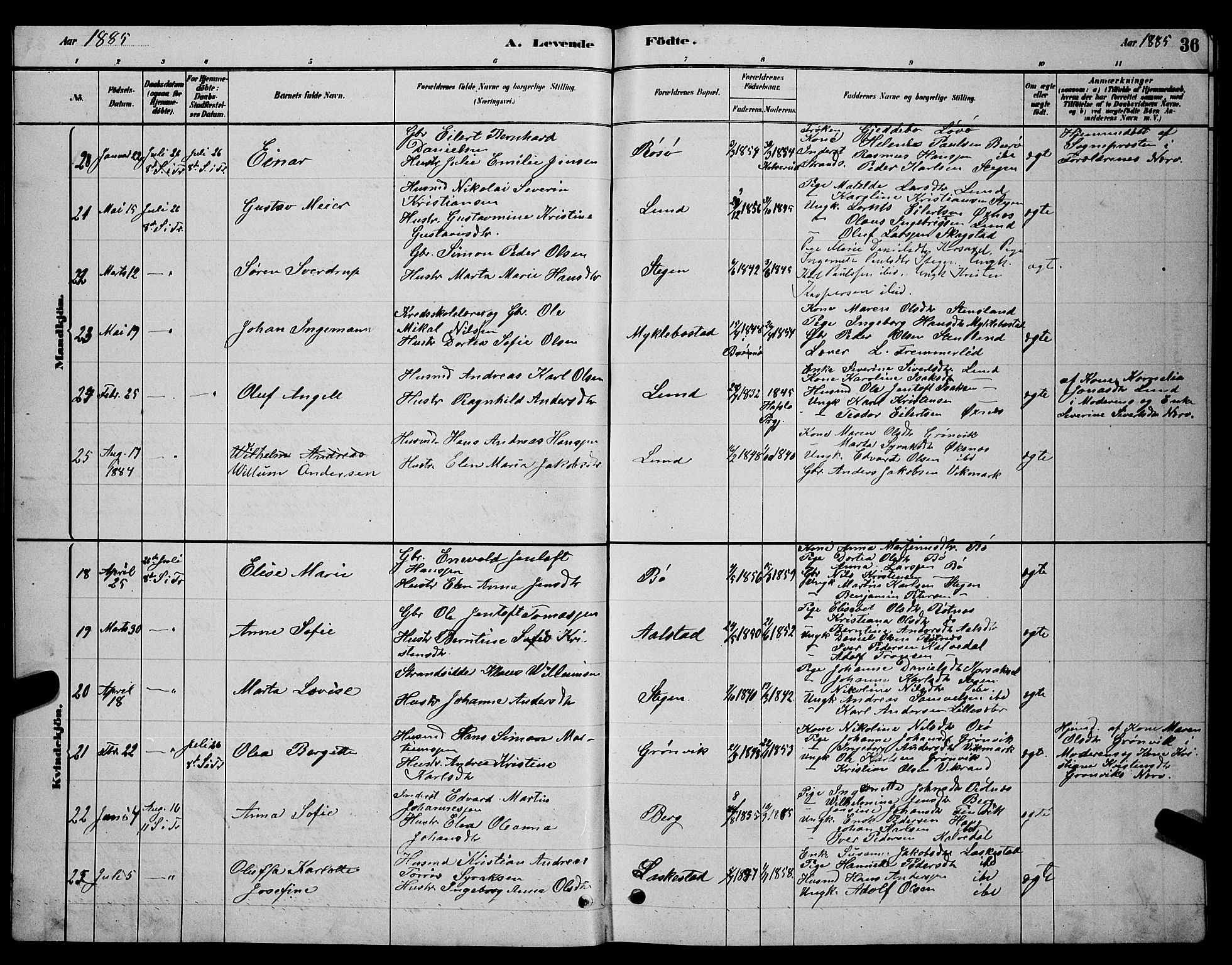 Ministerialprotokoller, klokkerbøker og fødselsregistre - Nordland, AV/SAT-A-1459/855/L0816: Klokkerbok nr. 855C05, 1879-1894, s. 36