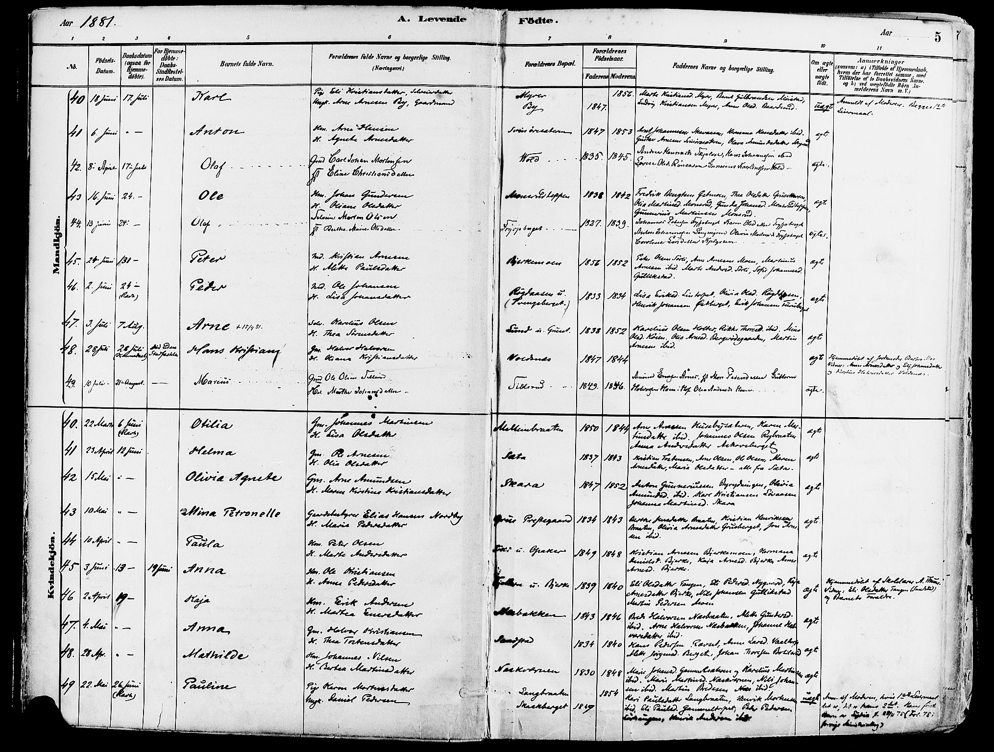Grue prestekontor, AV/SAH-PREST-036/H/Ha/Haa/L0012: Ministerialbok nr. 12, 1881-1897, s. 5