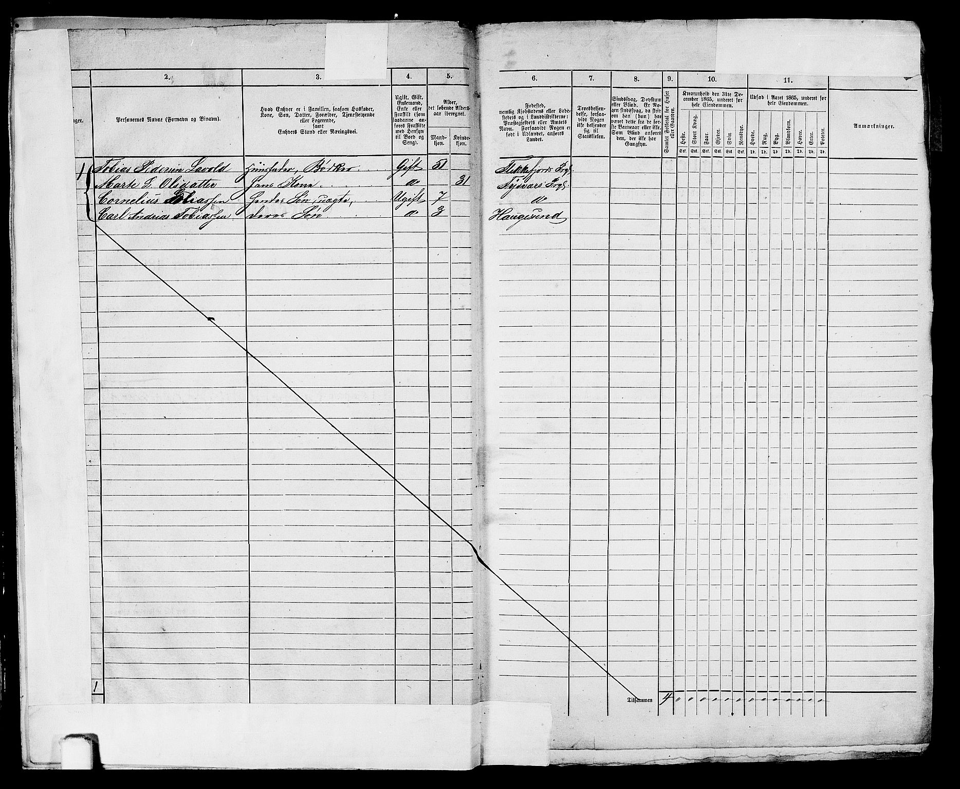 RA, Folketelling 1865 for 1106B Torvastad prestegjeld, Haugesund ladested, 1865, s. 8