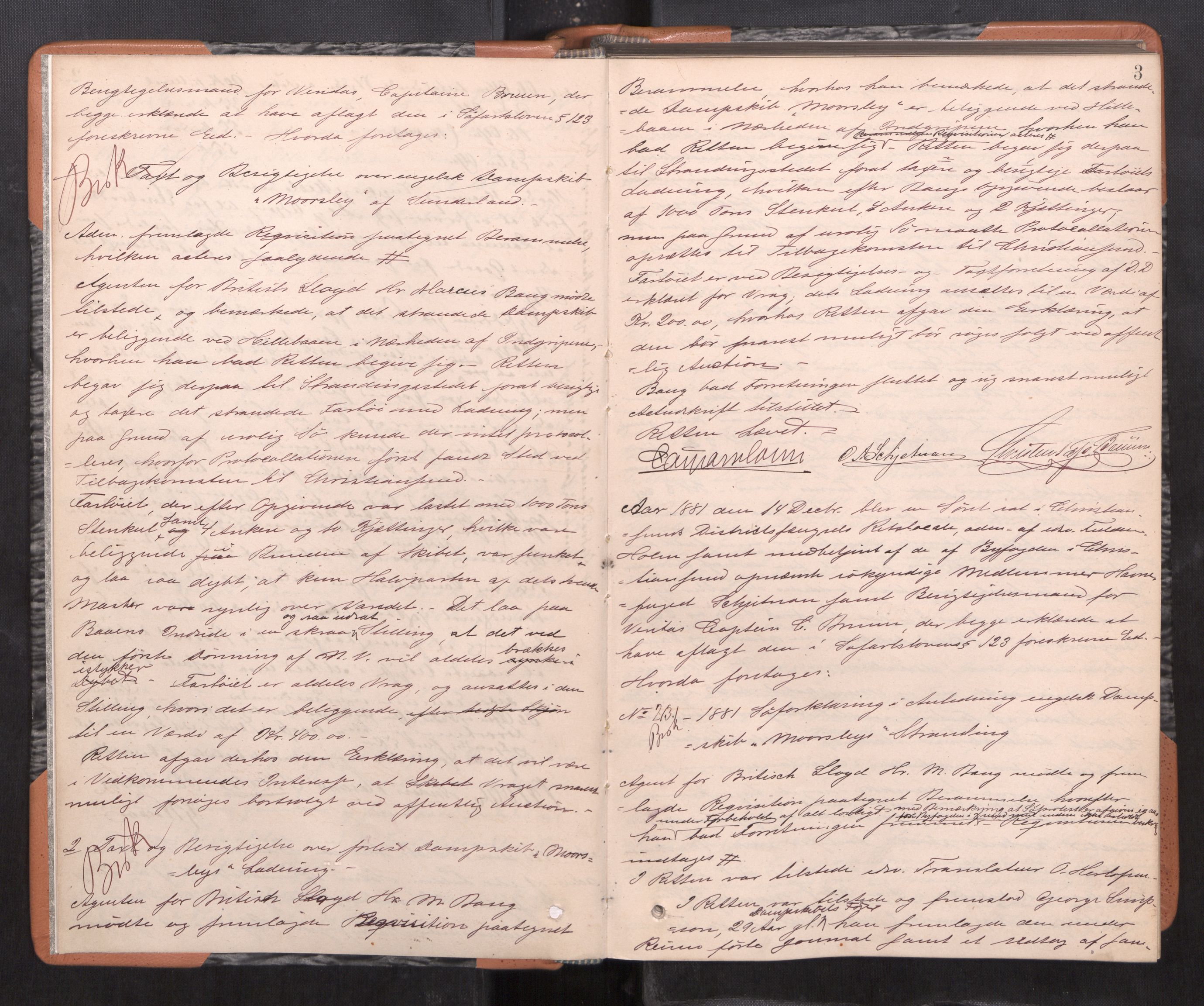 Nordmøre sorenskriveri, AV/SAT-A-4132/1/1/1B/L0020: Ekstrarettsprotokoll, 1881-1883, s. 2b-3a